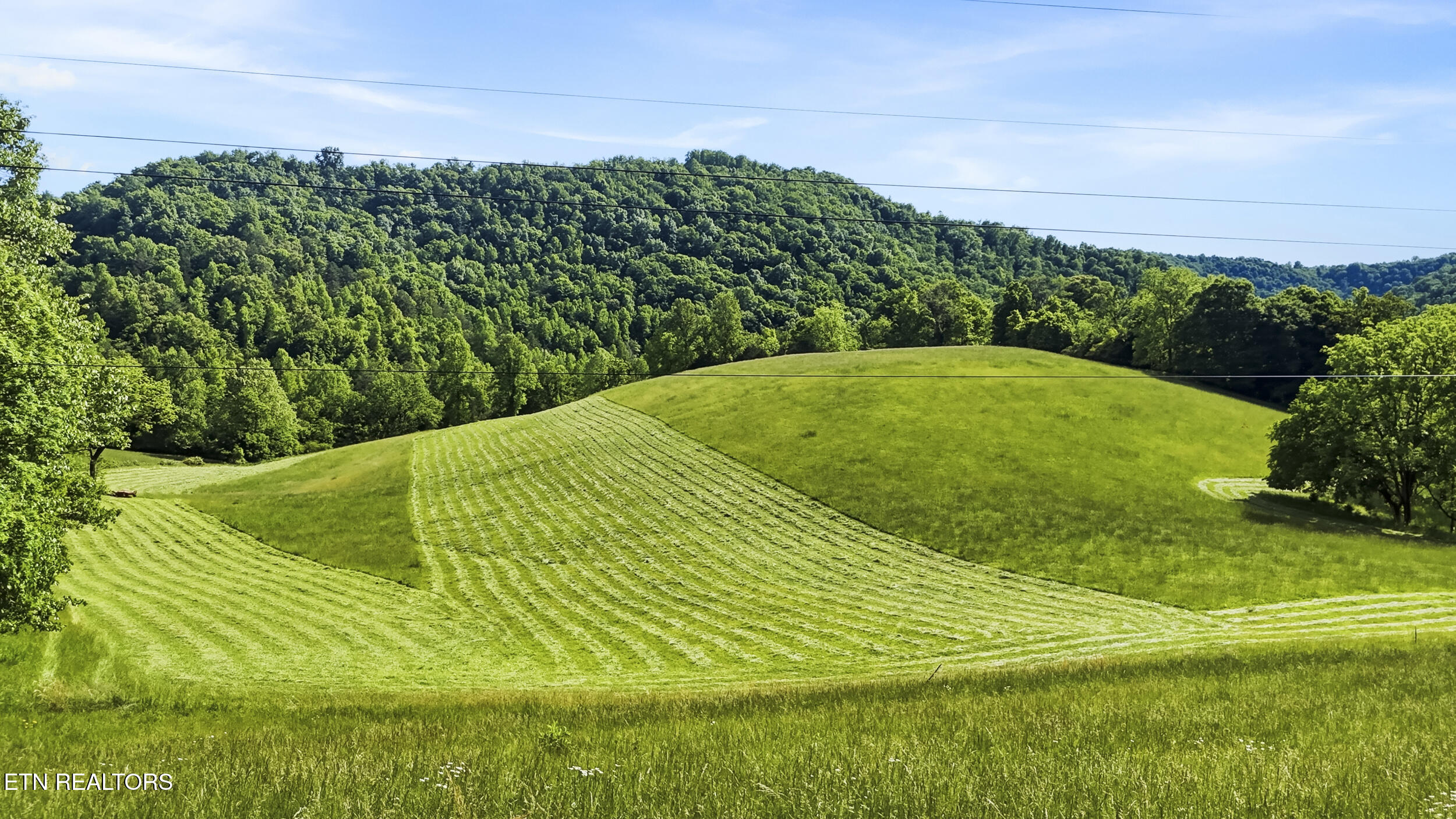 3609 Cave Springs Road Tazewell TN 37879
