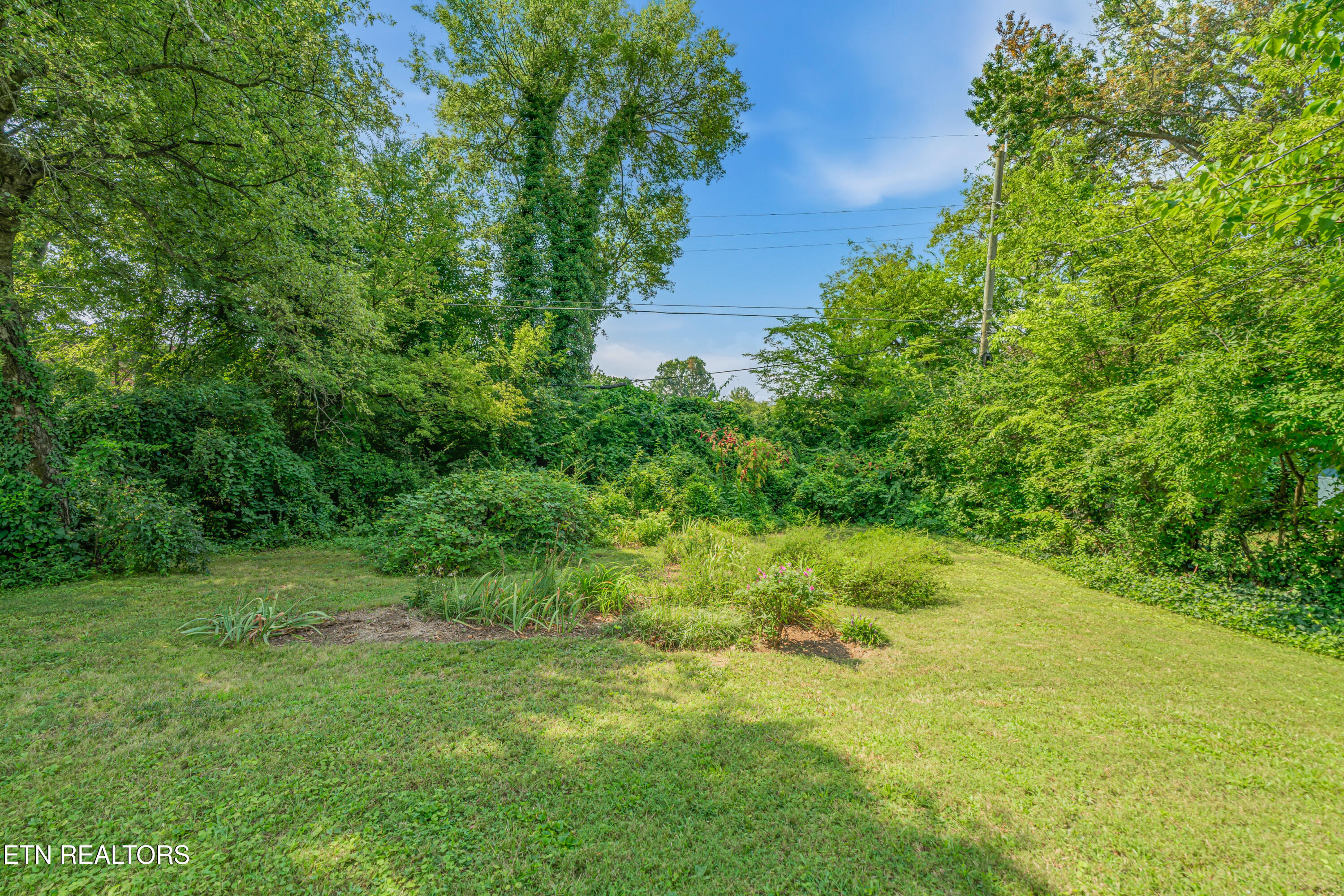 1802 Woodbine Avenue Knoxville TN 37917