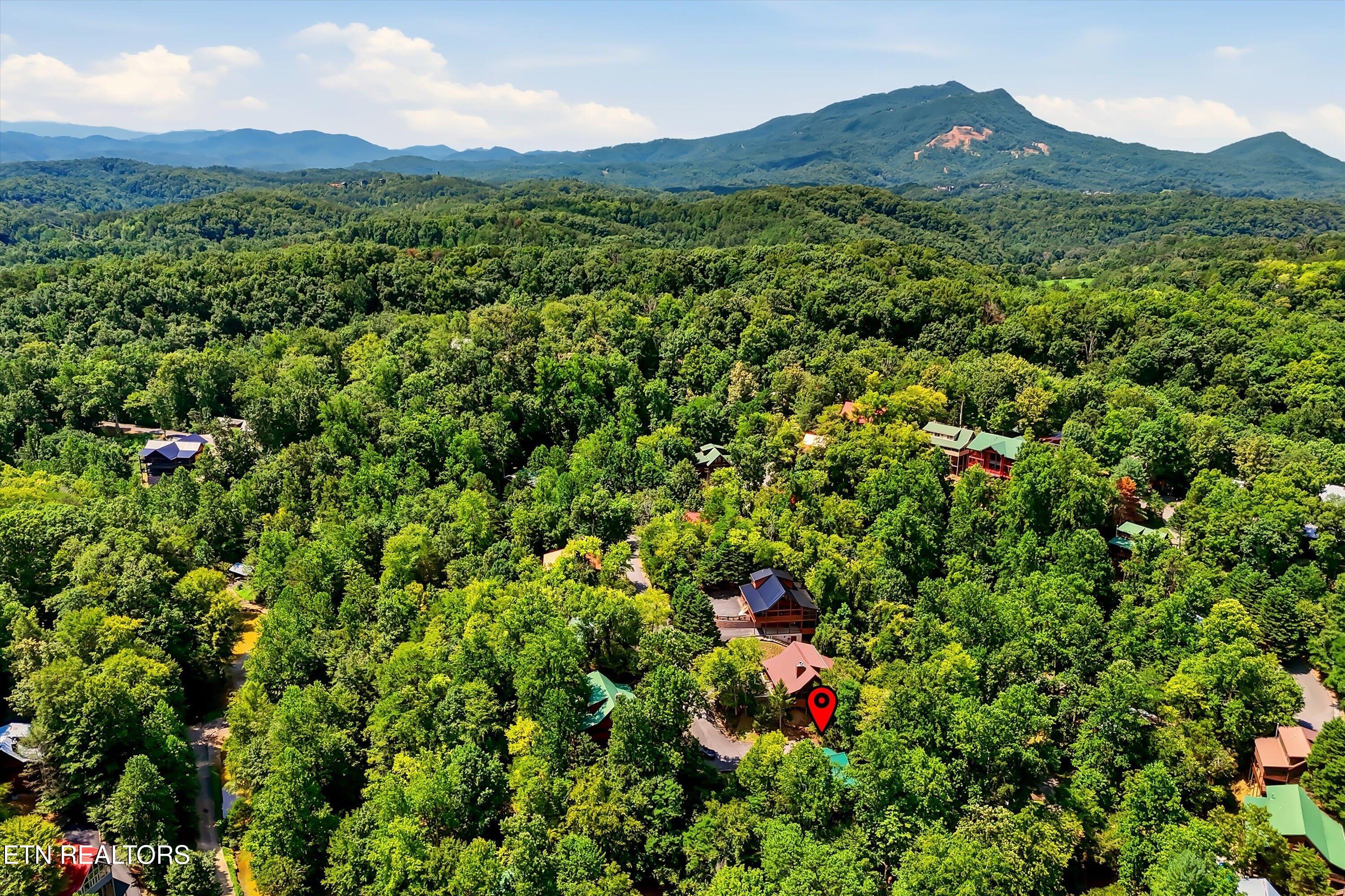 919 Deer Run Way Sevierville TN 37862