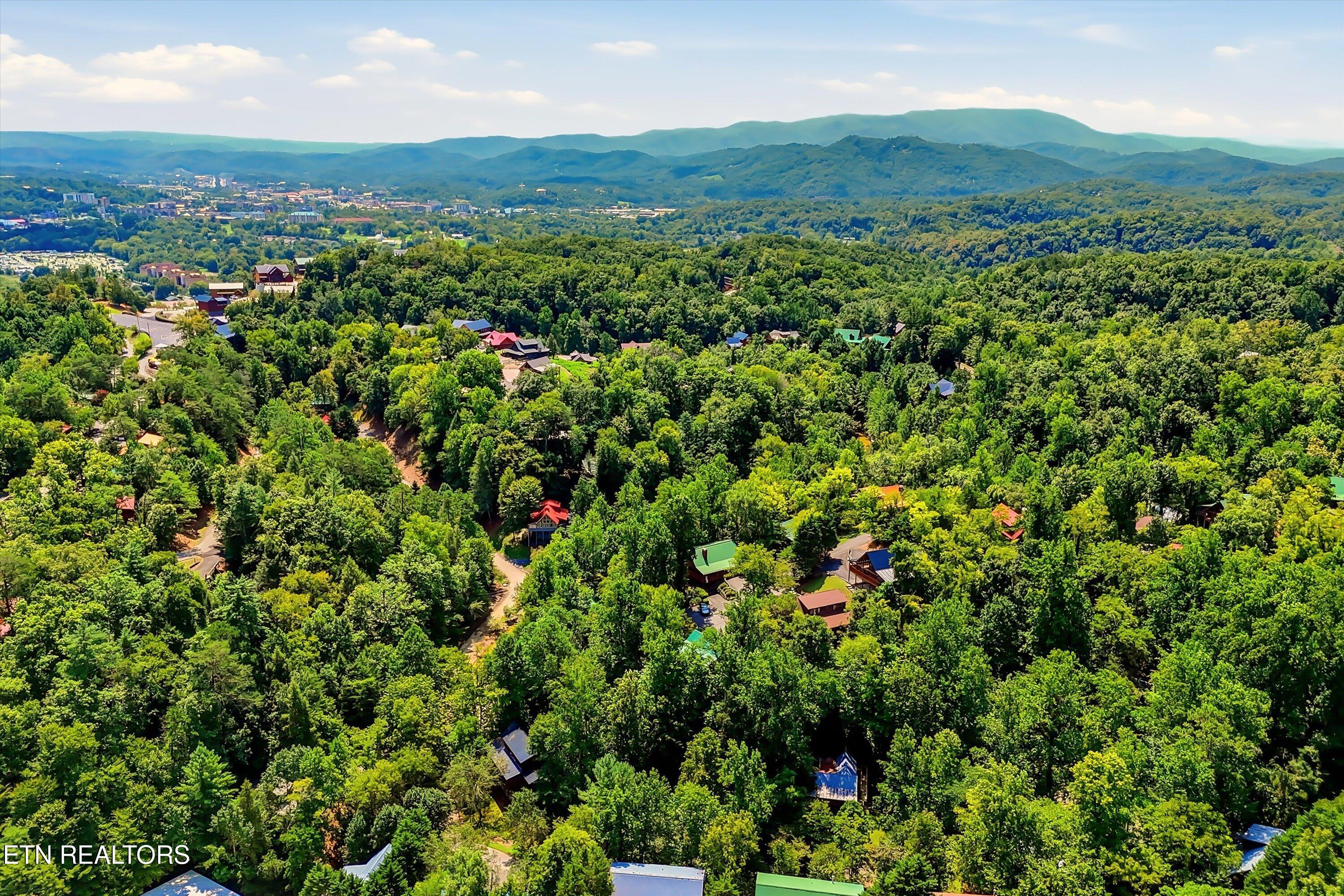 919 Deer Run Way Sevierville TN 37862