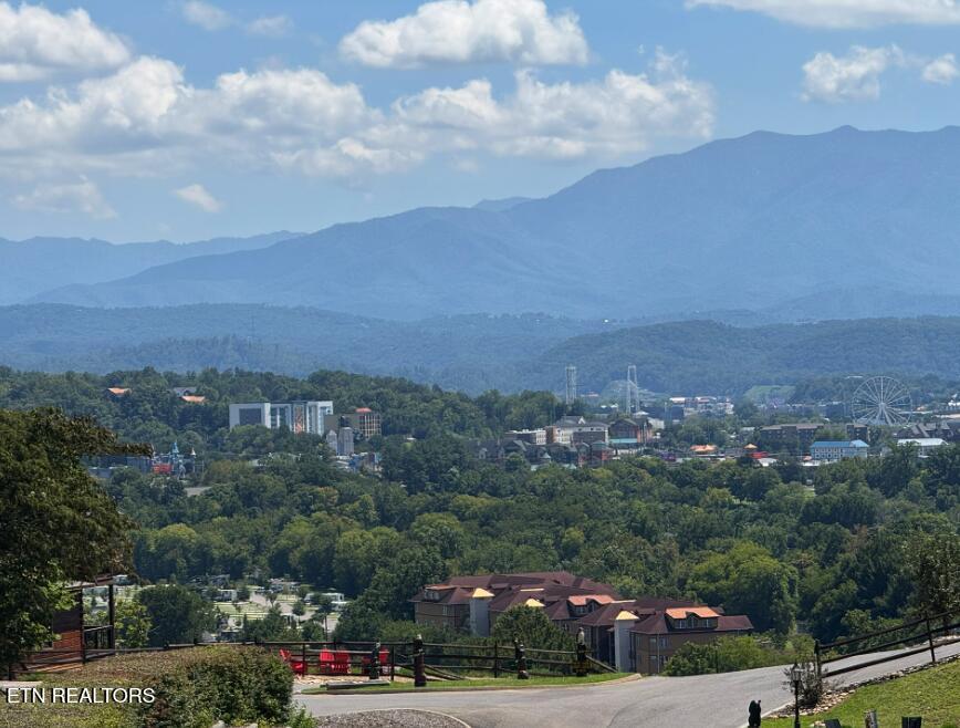 919 Deer Run Way Sevierville TN 37862