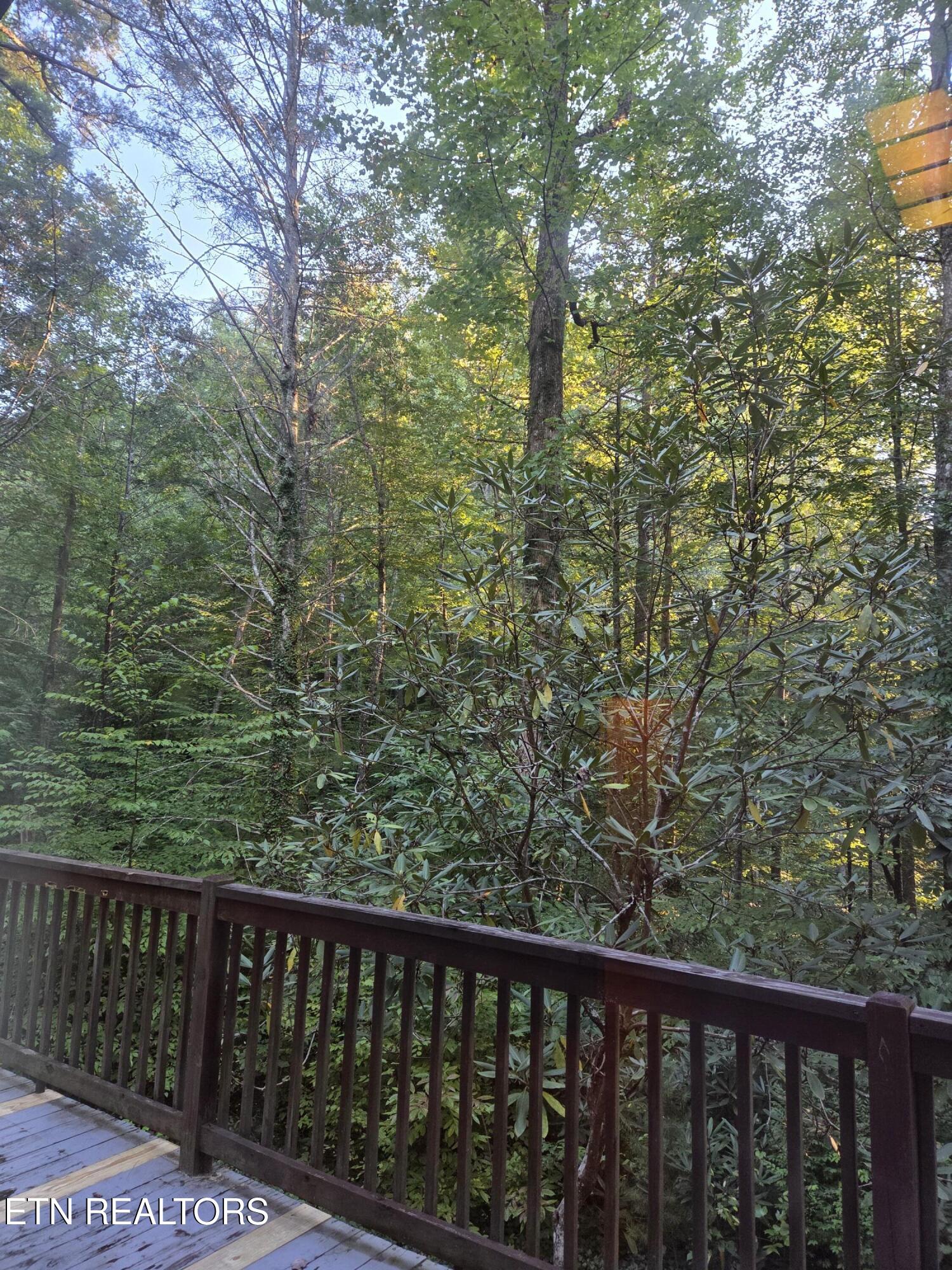 704 SE Selma Lane Gatlinburg TN 37738