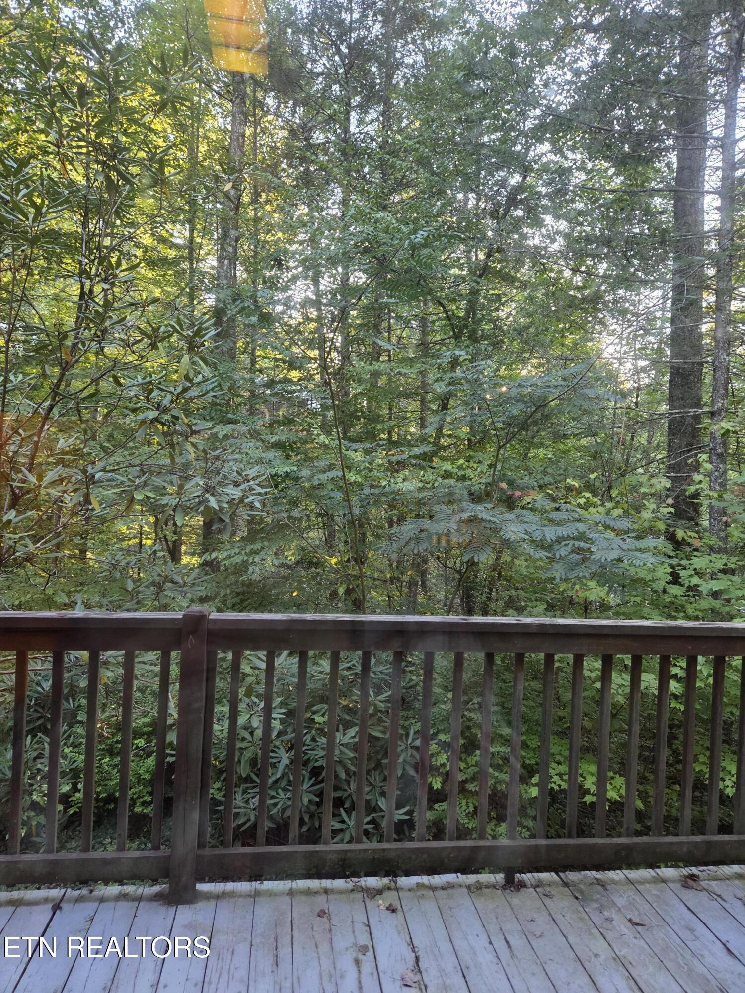 704 SE Selma Lane Gatlinburg TN 37738