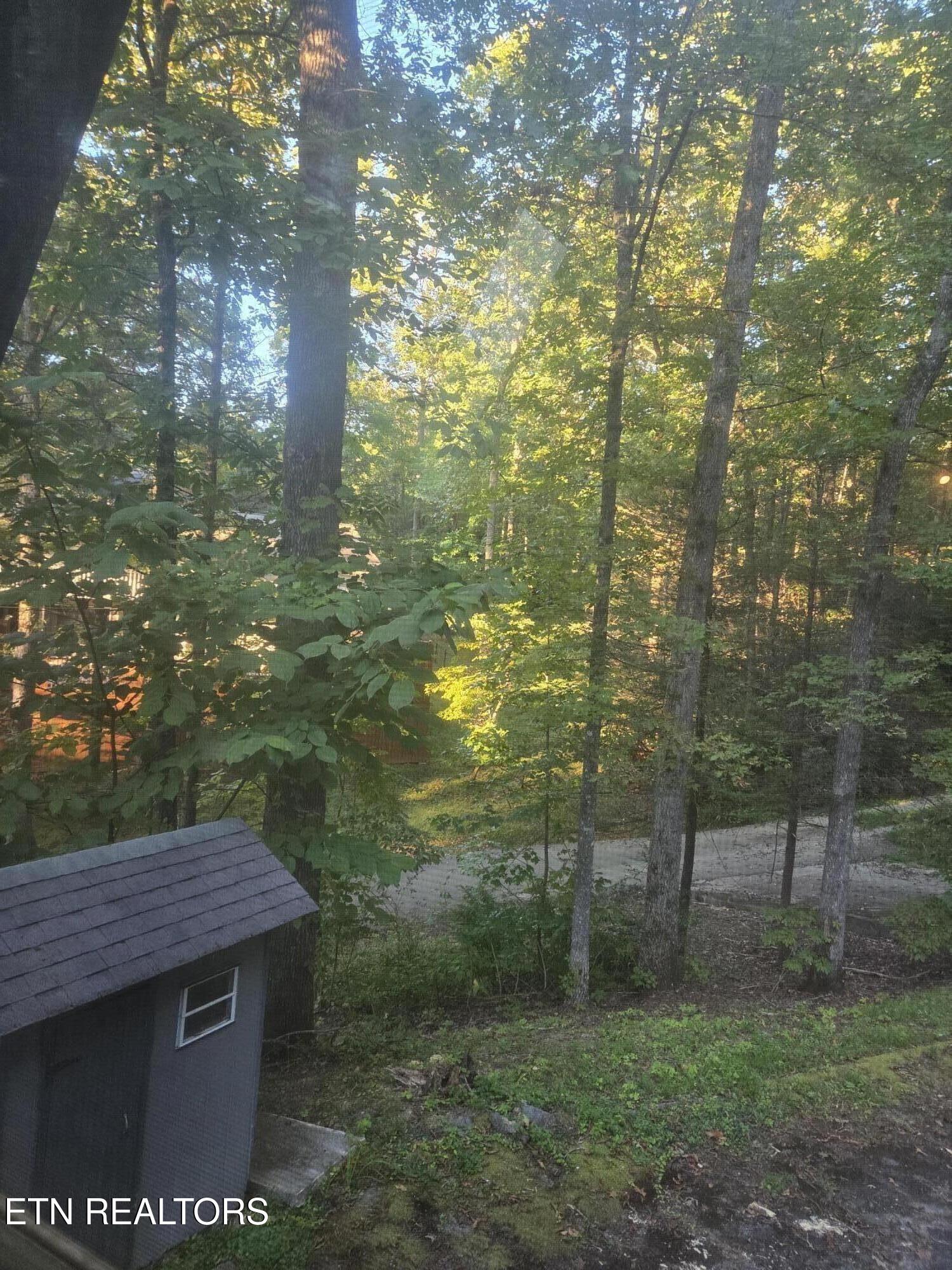 704 SE Selma Lane Gatlinburg TN 37738