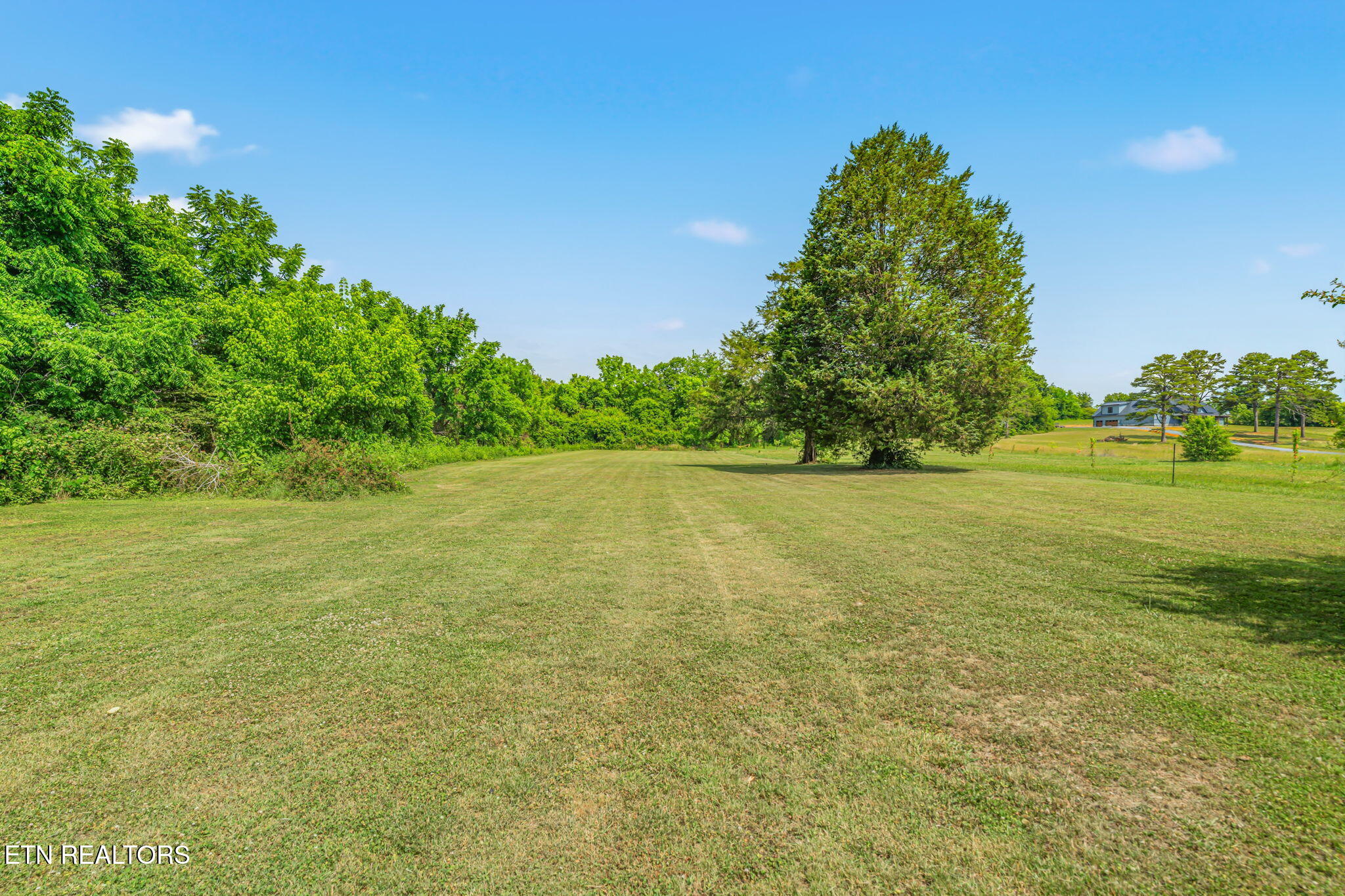 7801 Karnes Drive Corryton TN 37721