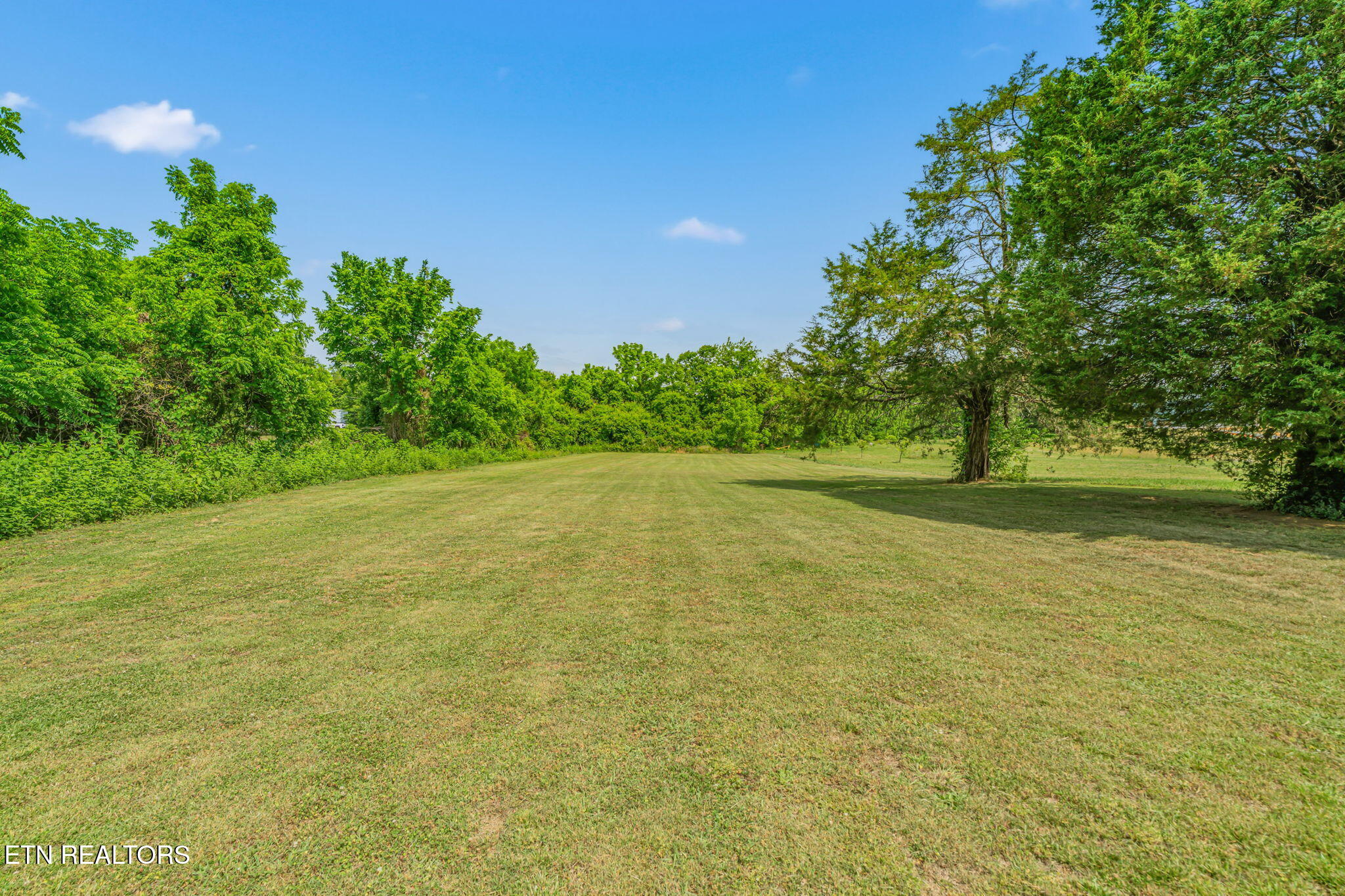 7801 Karnes Drive Corryton TN 37721