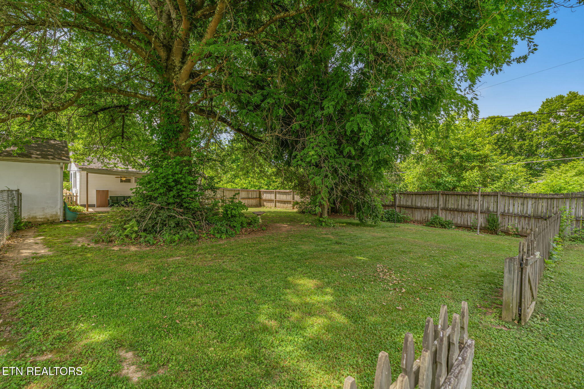 7801 Karnes Drive Corryton TN 37721