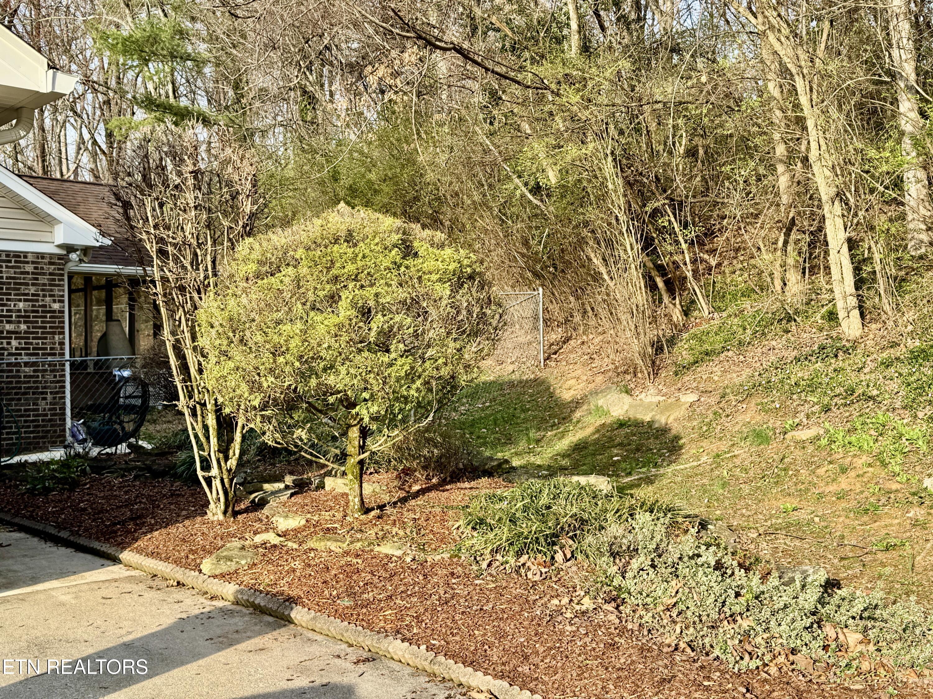 5913 Wassman Road Knoxville TN 37912