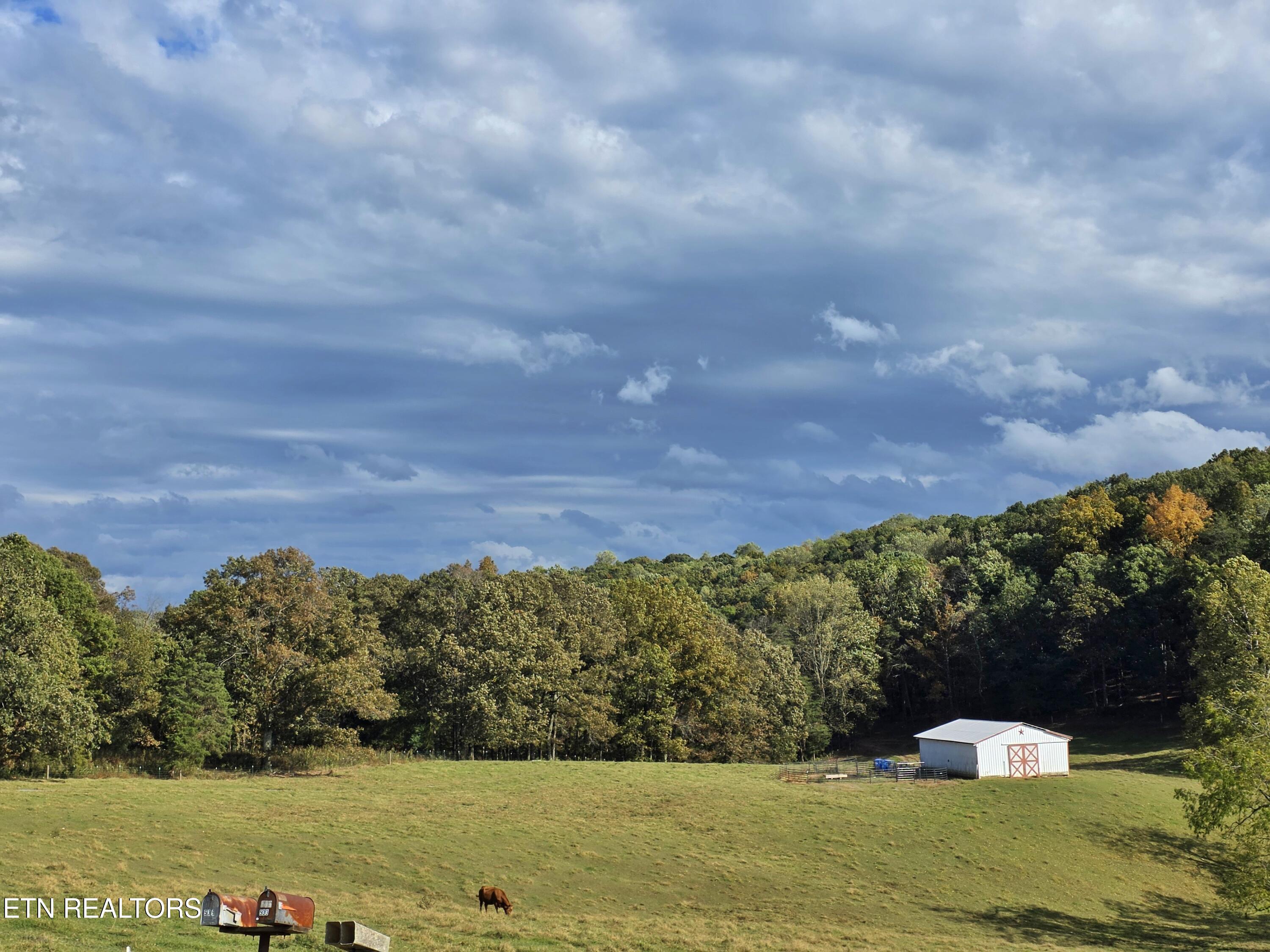 539 Offutt Road Clinton TN 37716