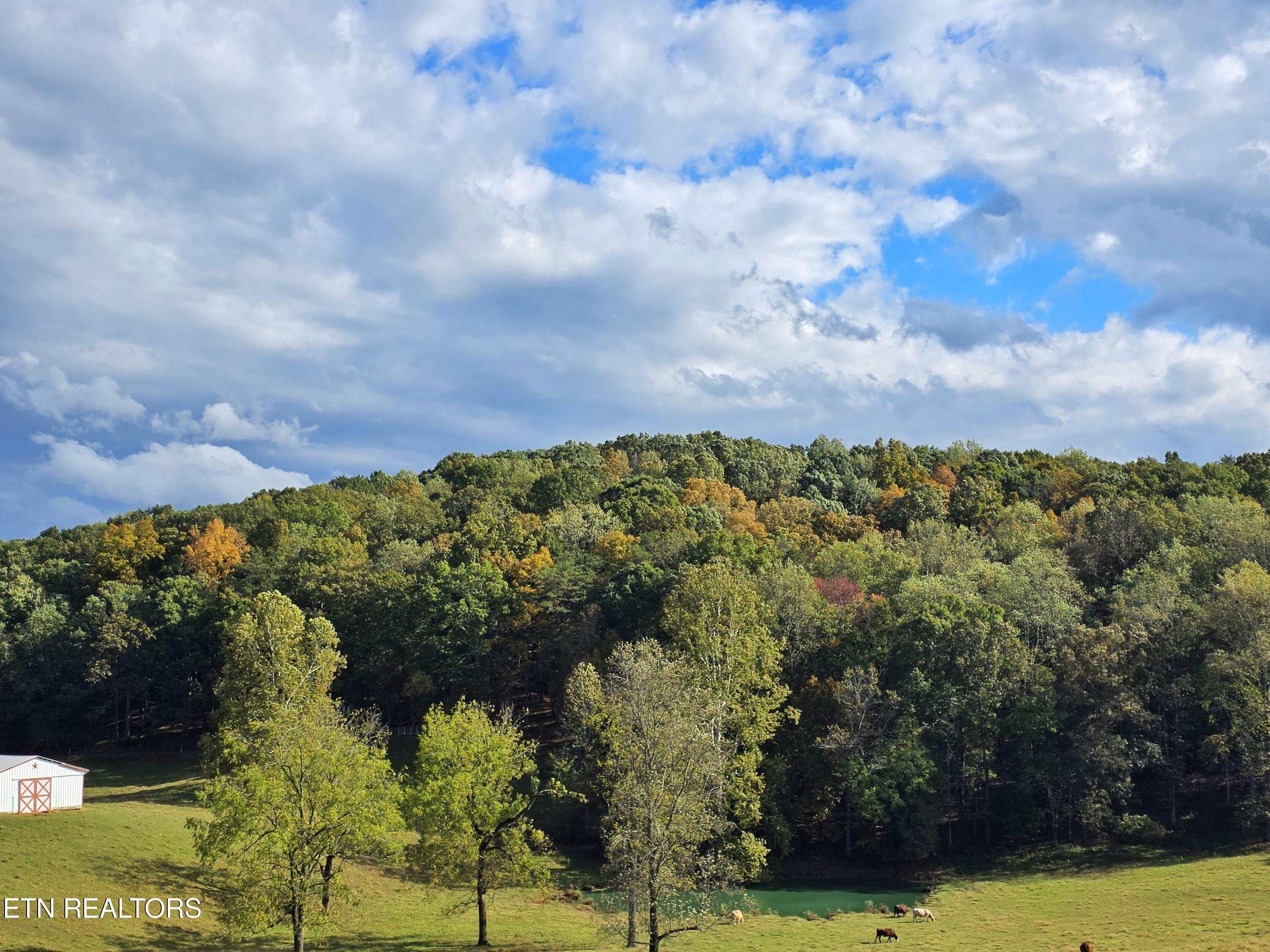 539 Offutt Road Clinton TN 37716