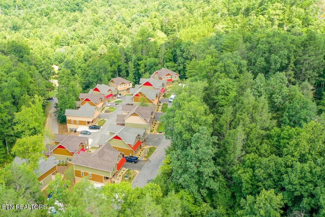 1132 Anastasia Way Gatlinburg TN 37738