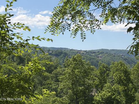 411 Abrams Falls Way Gatlinburg TN 37738