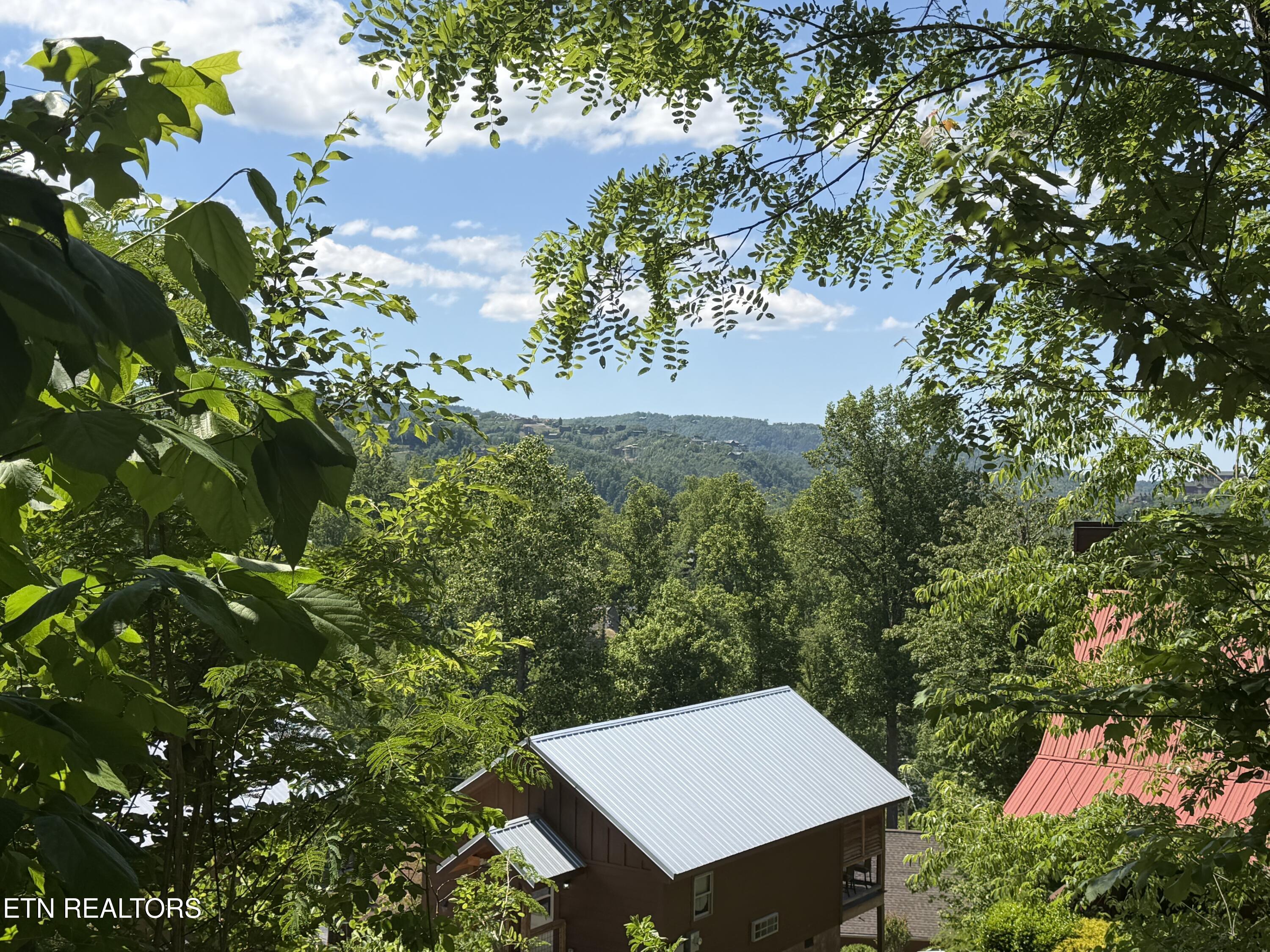 411 Abrams Falls Way Gatlinburg TN 37738
