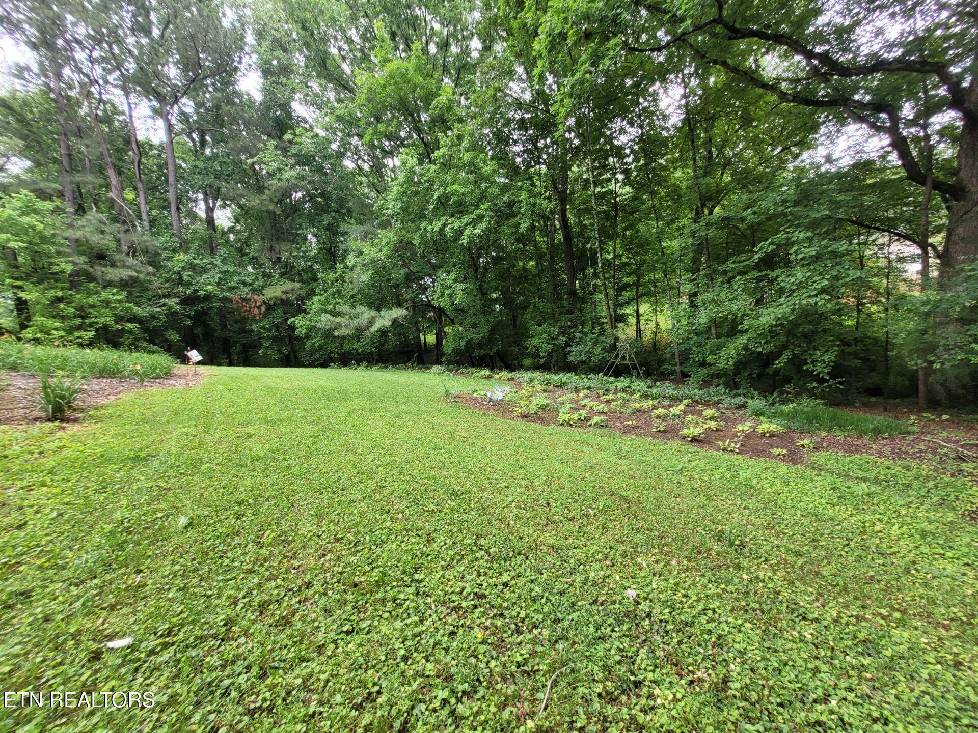 1466 Hillvale Road Louisville TN 37777