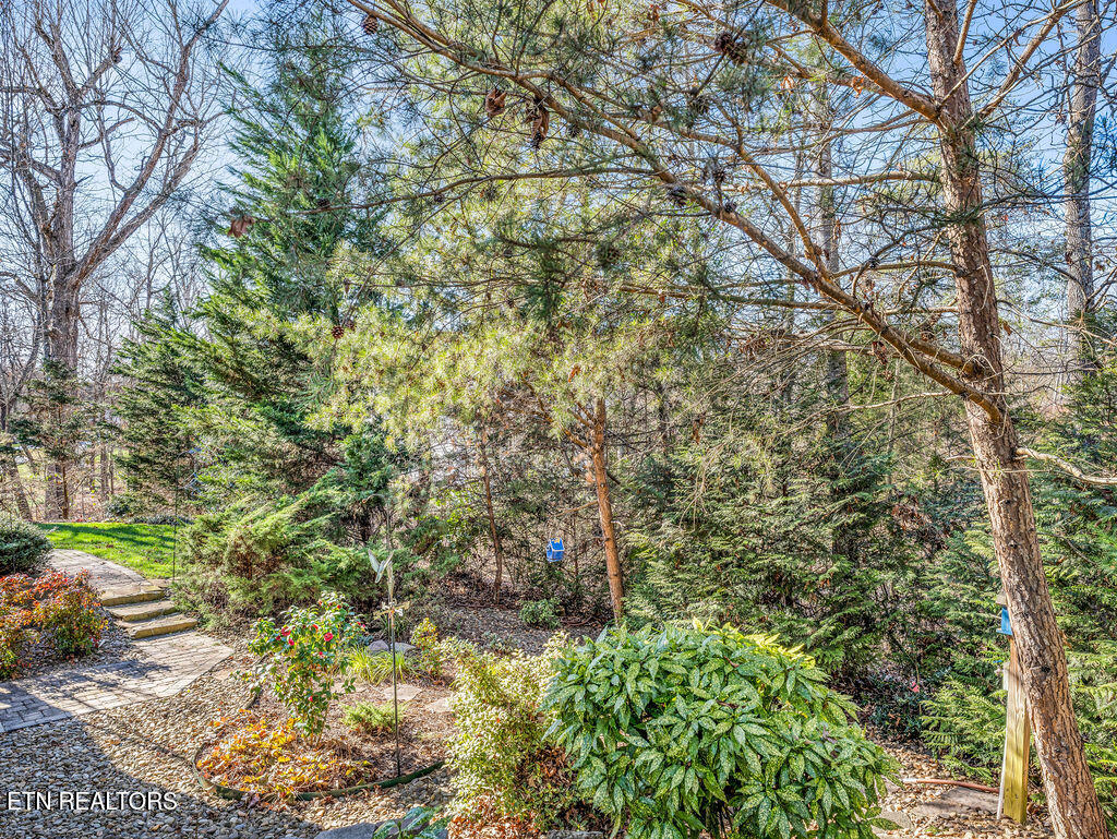 208 Okema Trace Loudon TN 37774