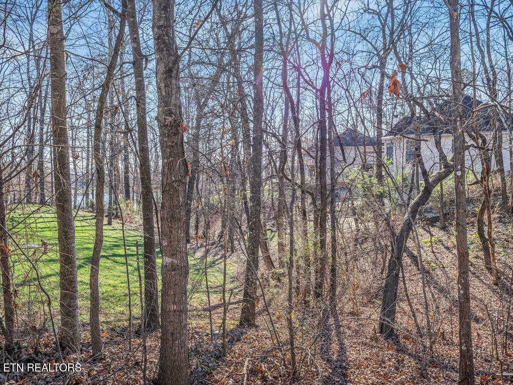 208 Okema Trace Loudon TN 37774