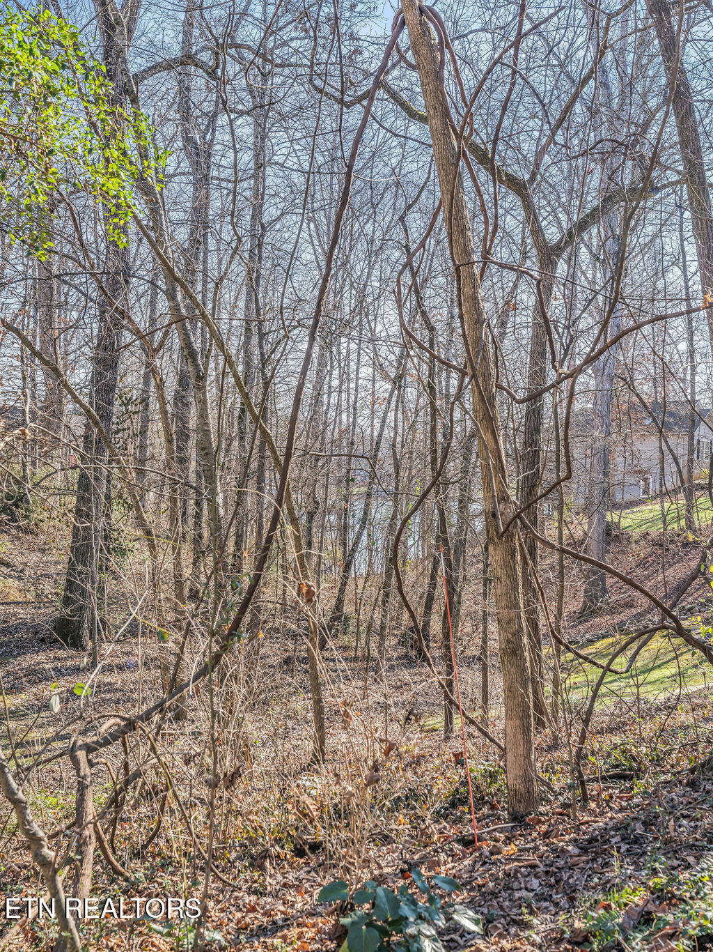 208 Okema Trace Loudon TN 37774