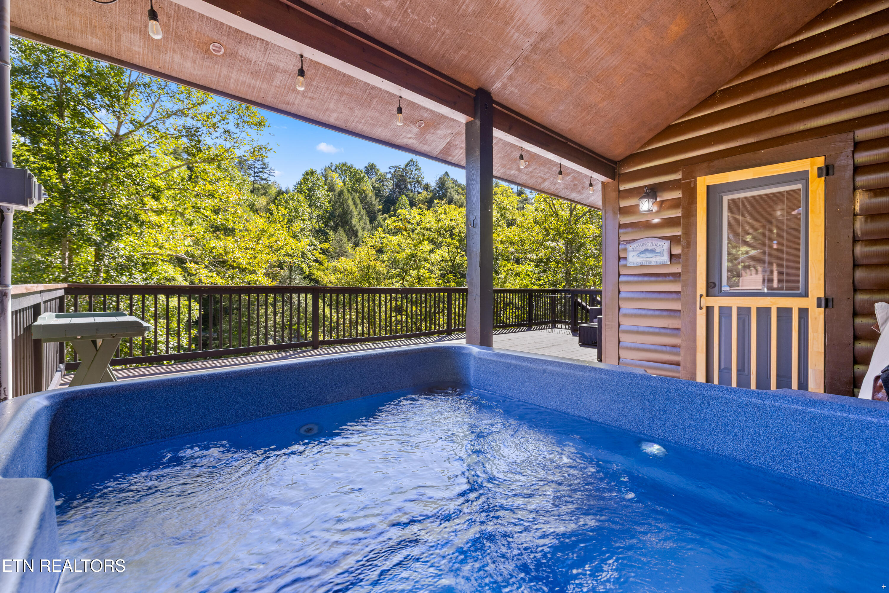 1830 Creek Hollow Way Sevierville TN 37876