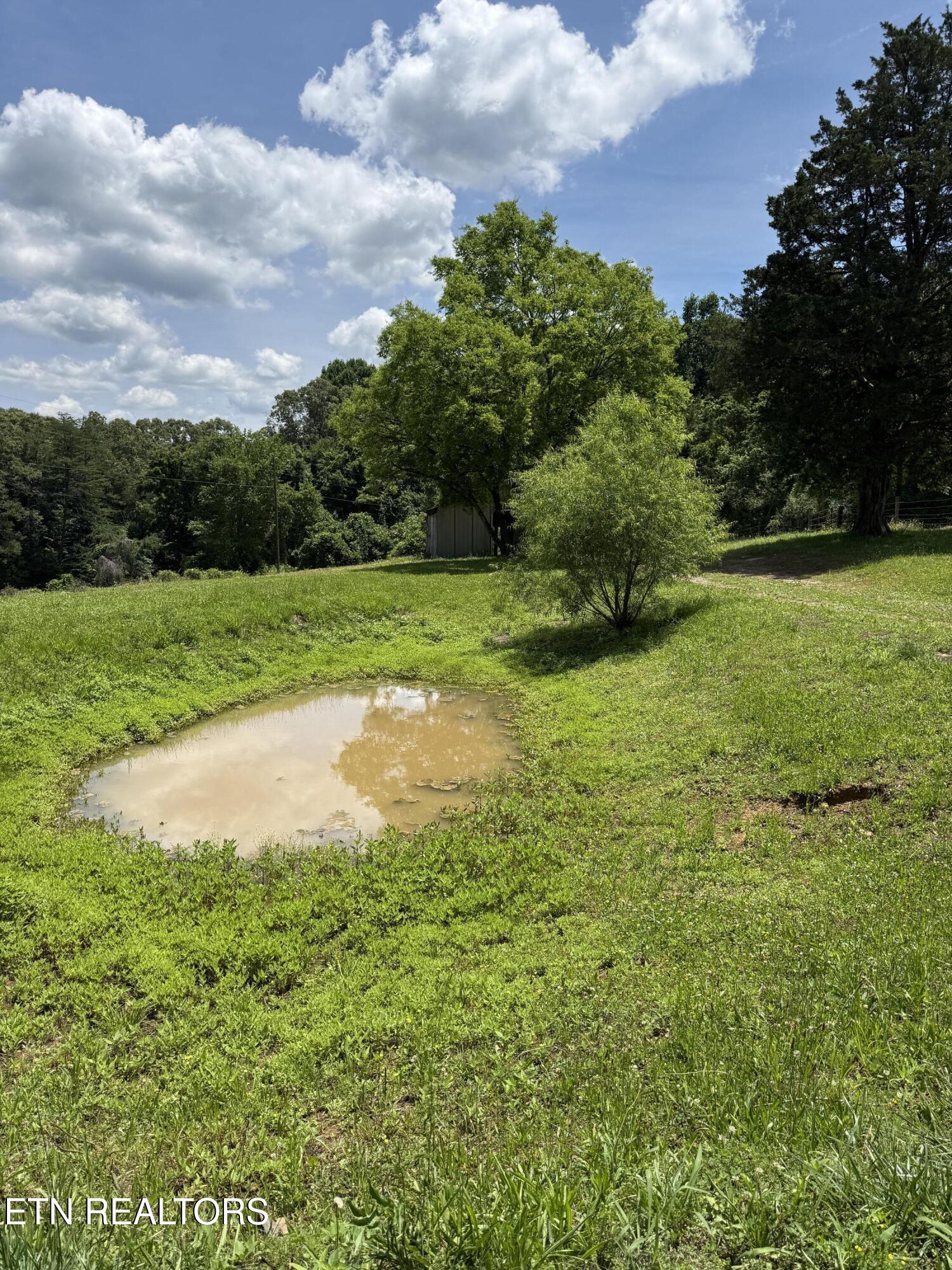 422 County Road 728 (15 Acres) Riceville TN 37370
