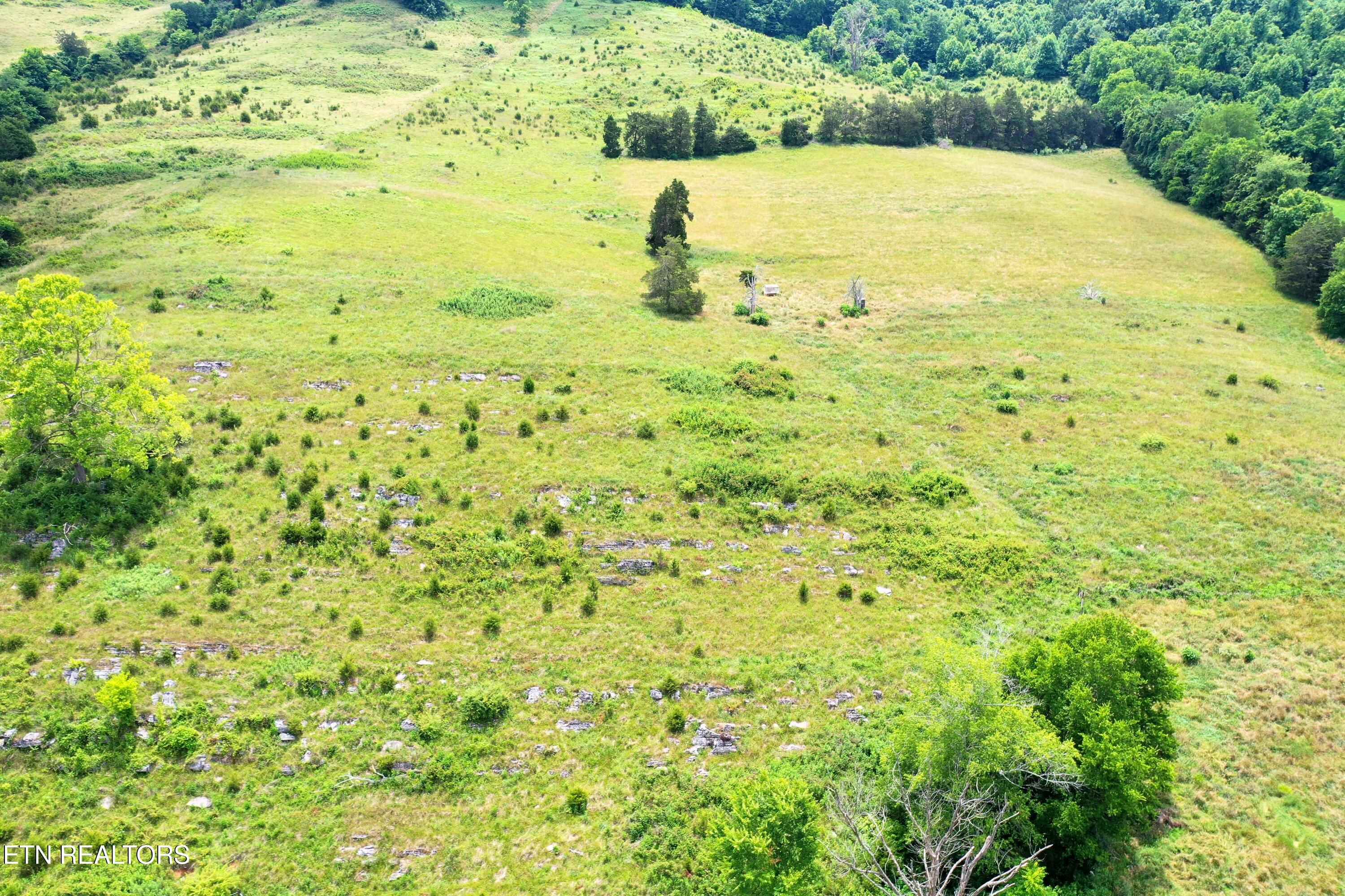 3956 Mulberry Gap Road Sneedville TN 37869