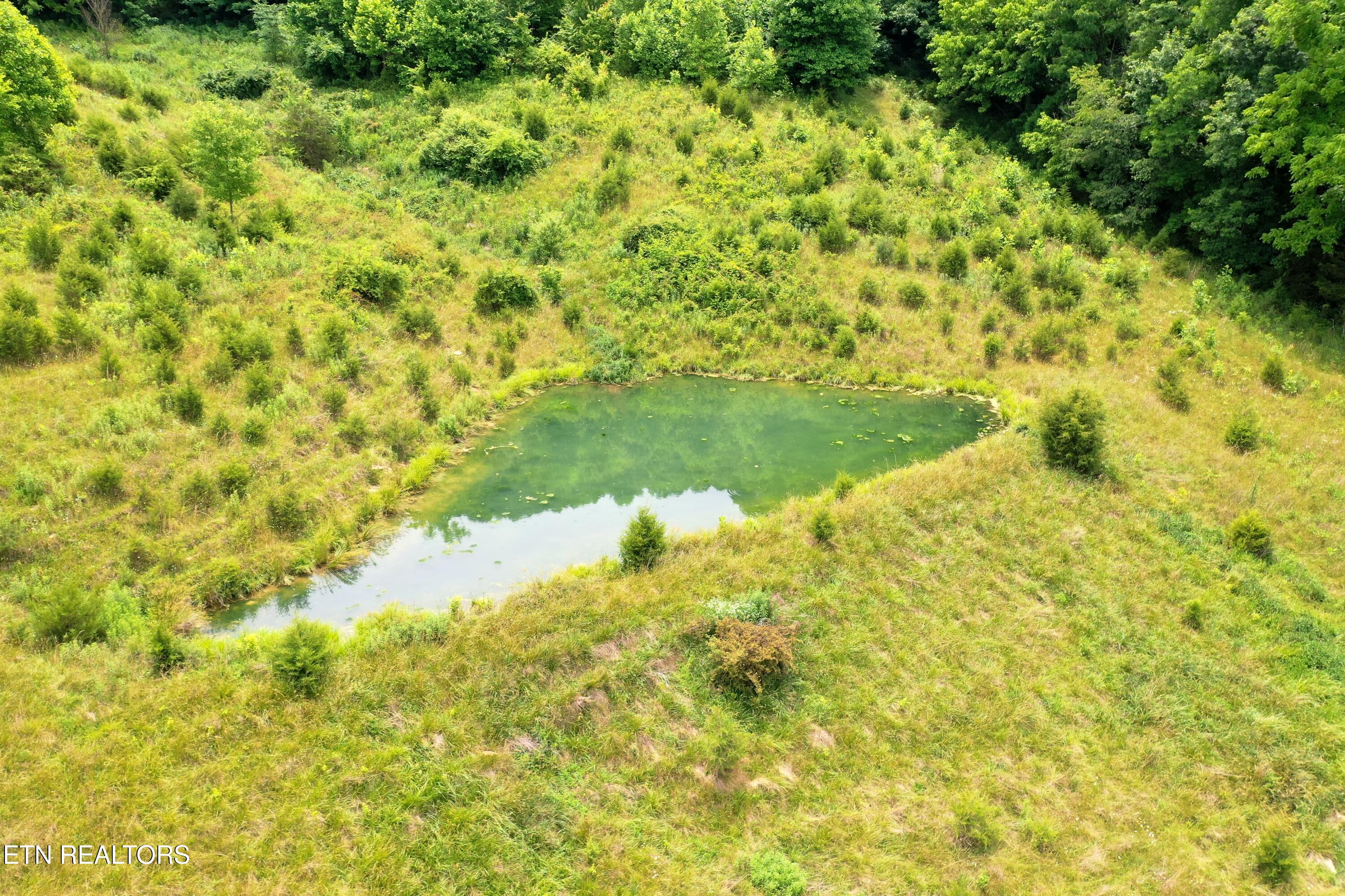 3956 Mulberry Gap Road Sneedville TN 37869