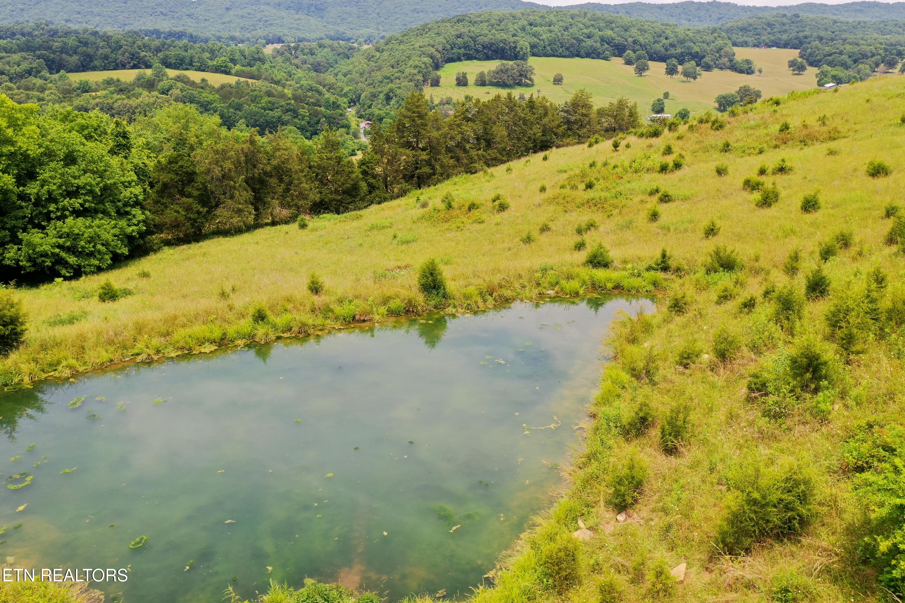 3956 Mulberry Gap Road Sneedville TN 37869