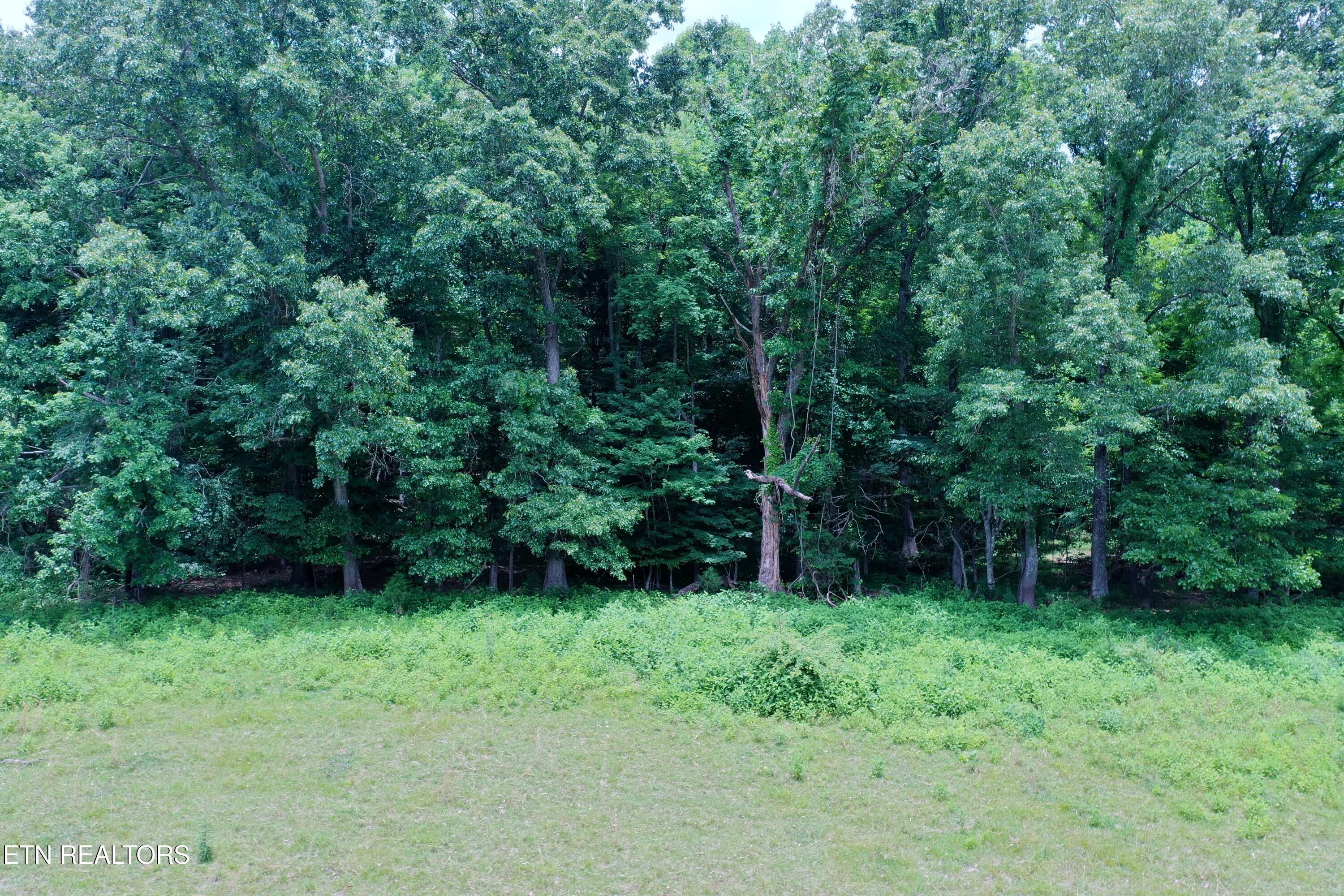 3956 Mulberry Gap Road Sneedville TN 37869
