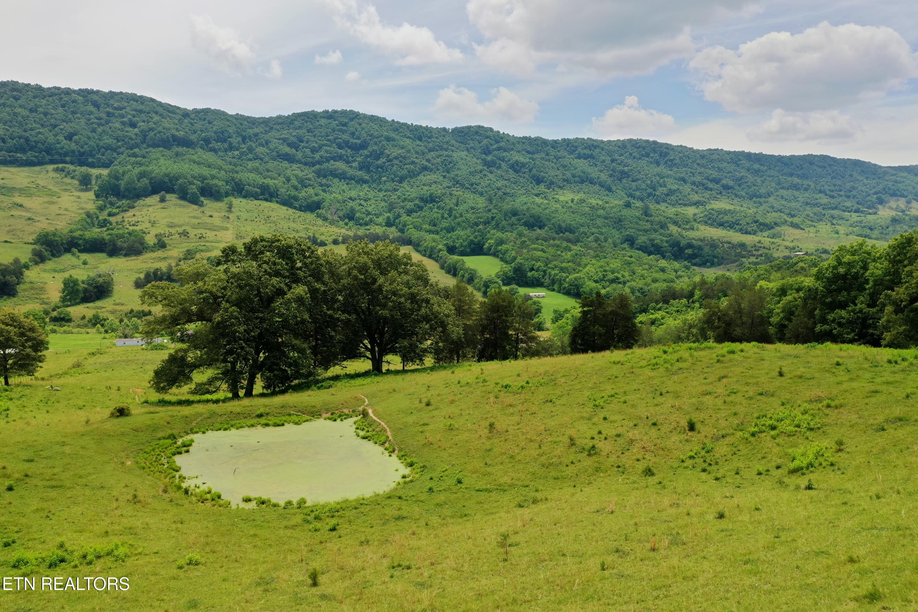 3956 Mulberry Gap Road Sneedville TN 37869