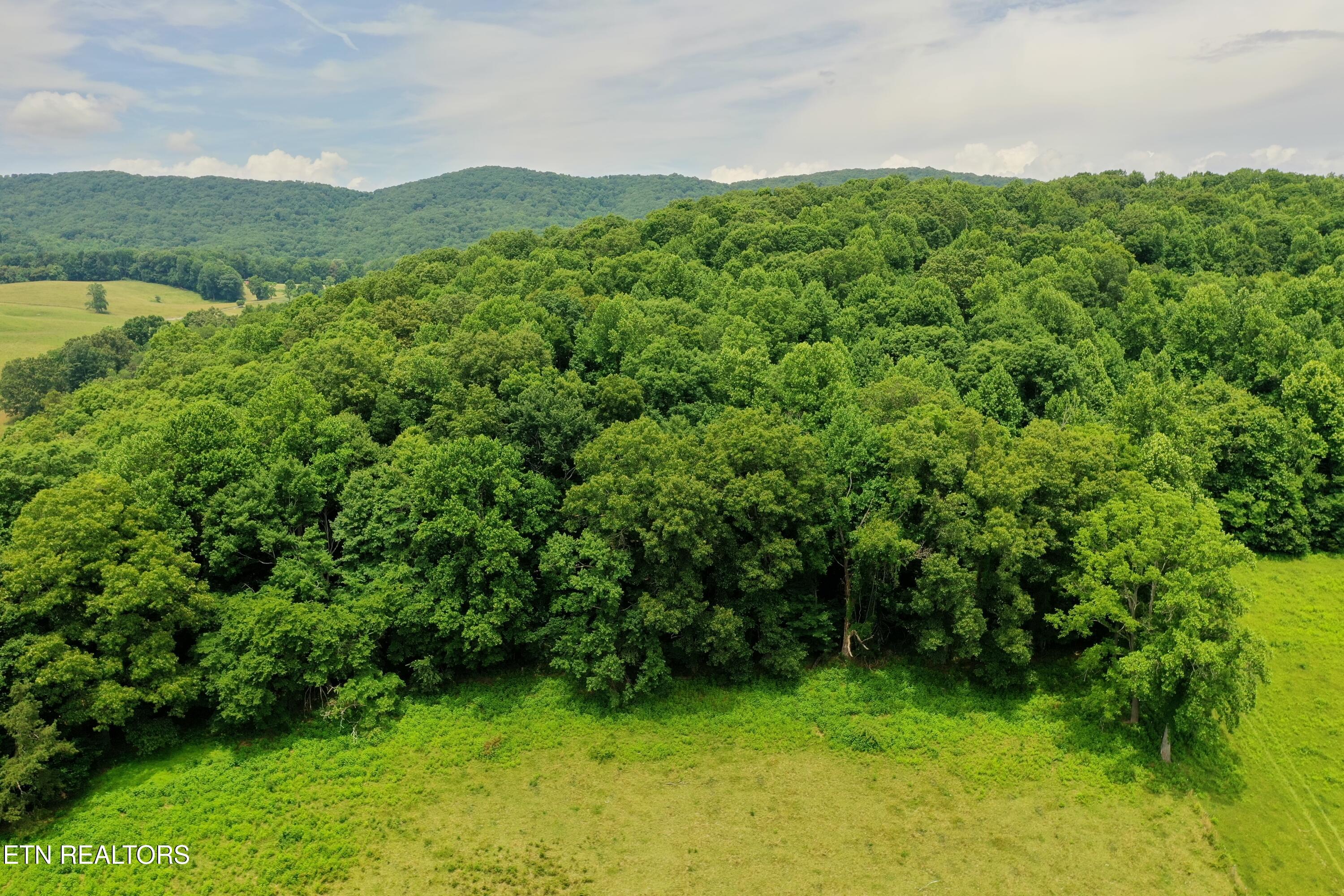 3956 Mulberry Gap Road Sneedville TN 37869
