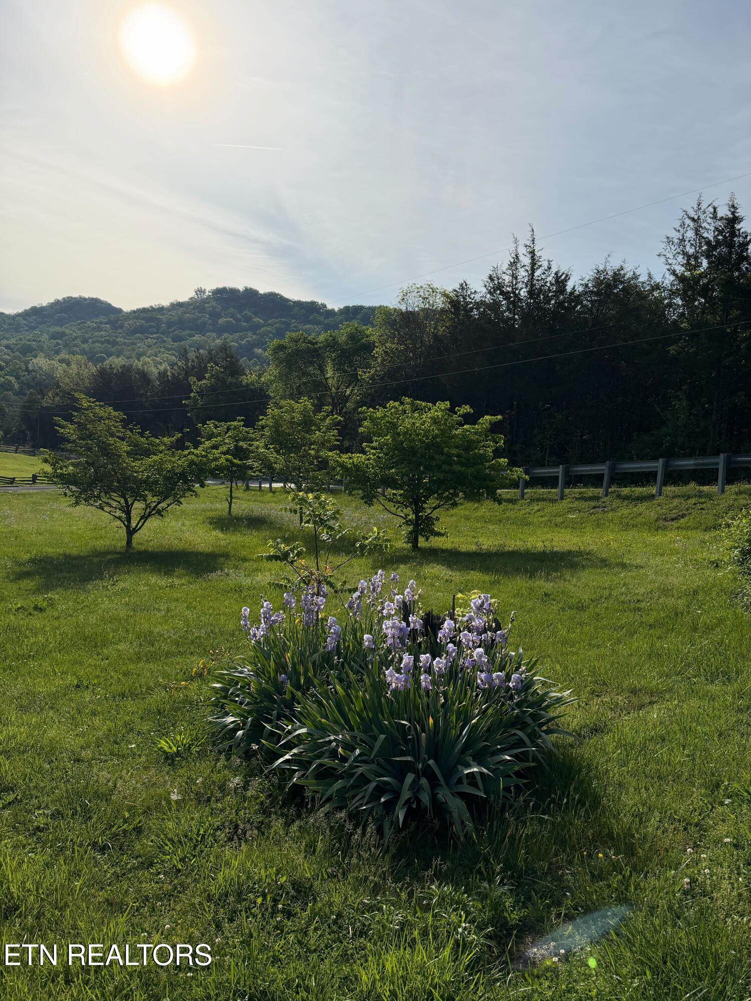 912 Raccoon Valley Road Maynardville TN 37807