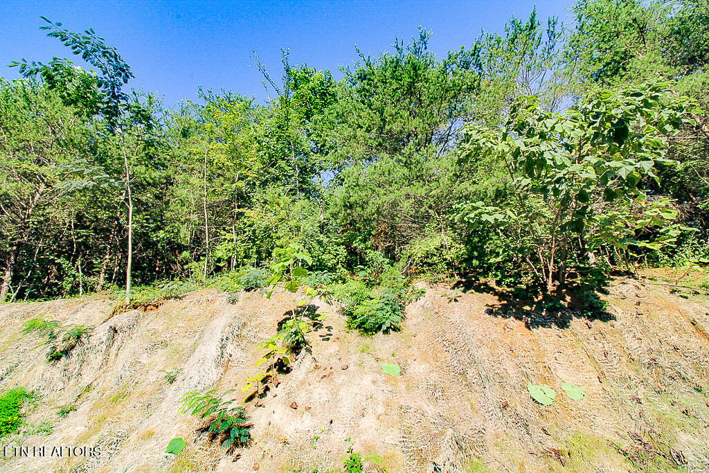 7131 Remagen Lane Knoxville TN 37920