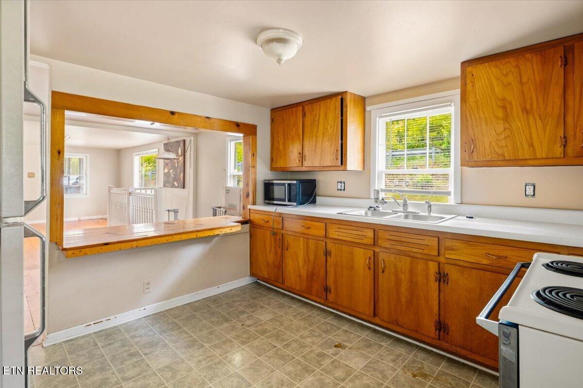 743 Lovely Bluff Road Rocky Top TN 37769