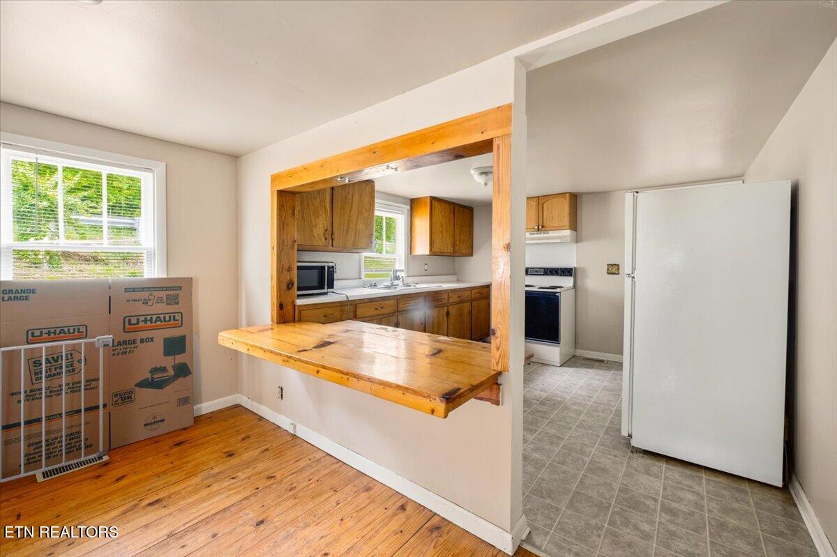 743 Lovely Bluff Road Rocky Top TN 37769