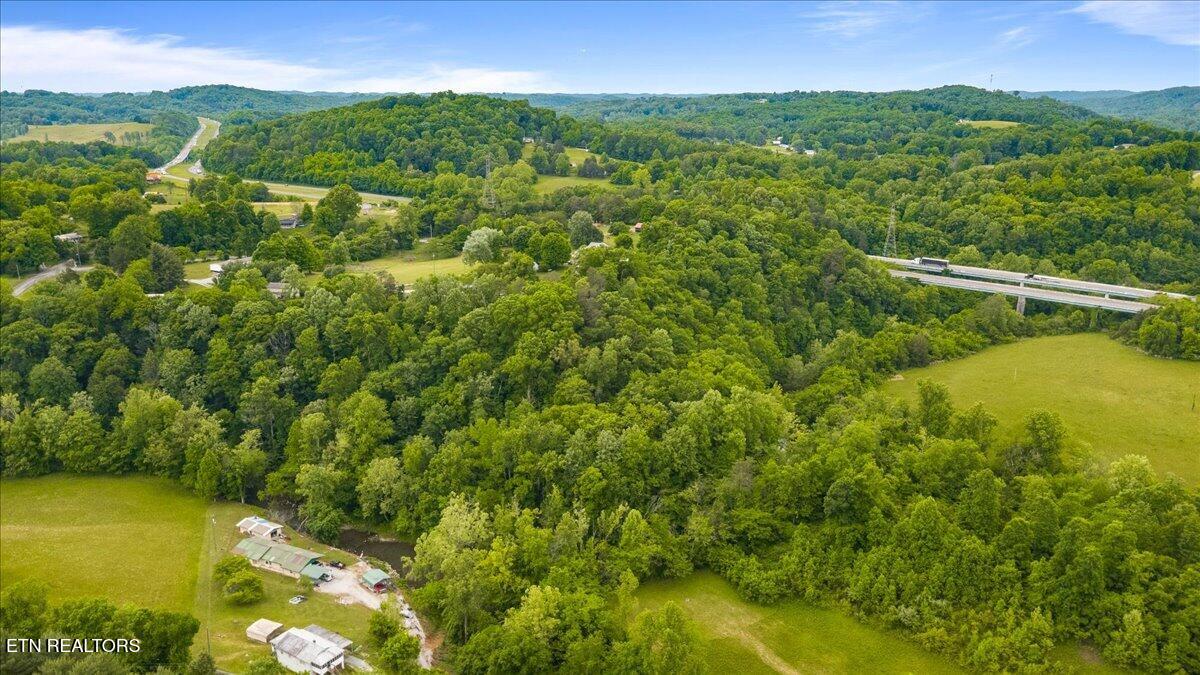 743 Lovely Bluff Road Rocky Top TN 37769