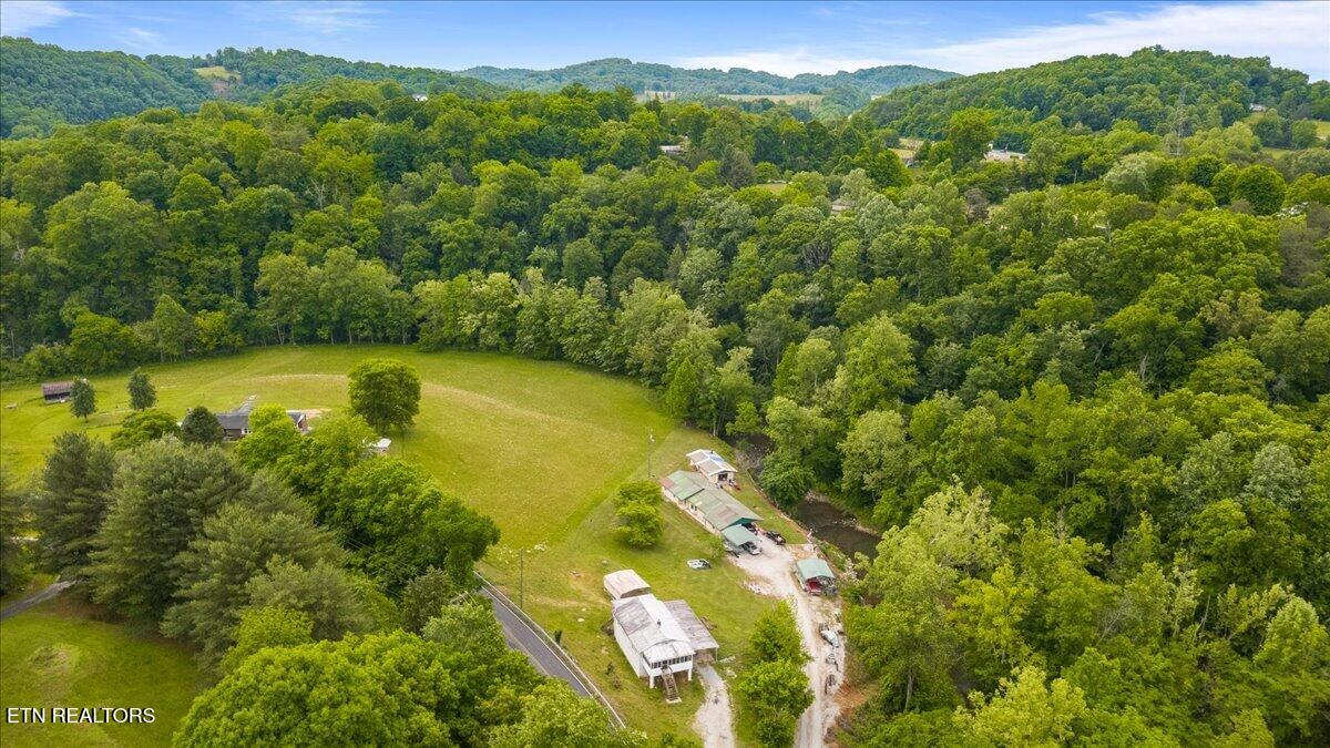 743 Lovely Bluff Road Rocky Top TN 37769