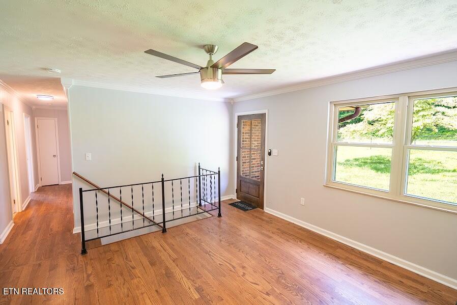2451 Black Oak Road Jefferson City TN 37760