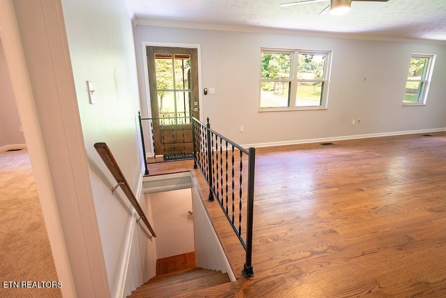 2451 Black Oak Road Jefferson City TN 37760