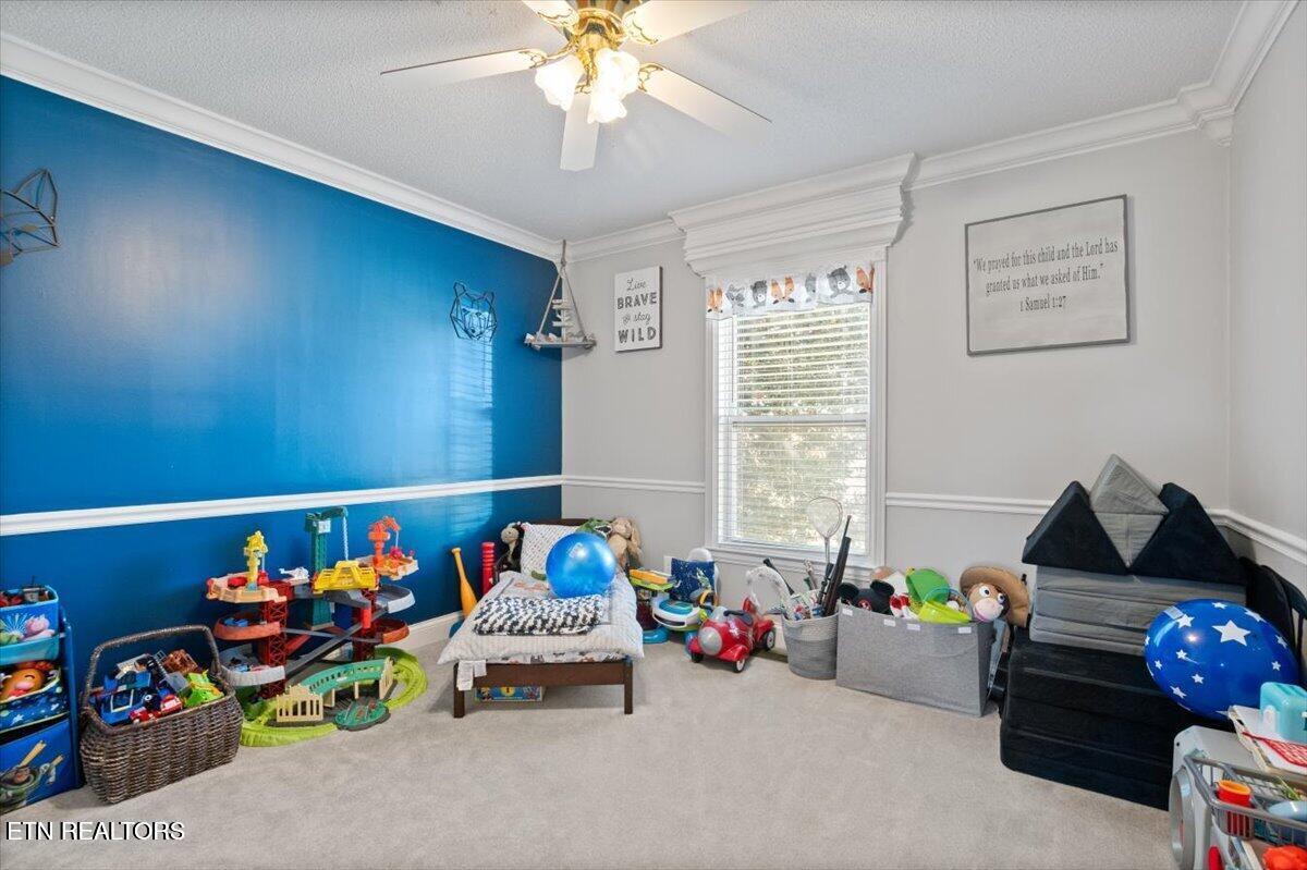 330 Brown Drive Lafollette TN 37766