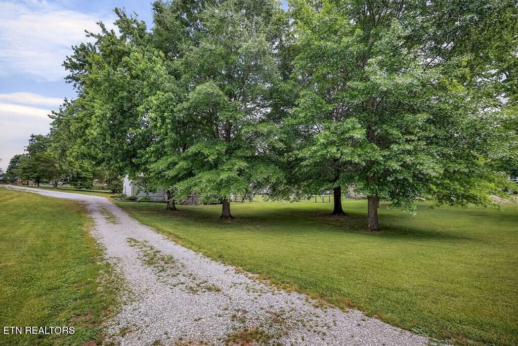 3702 Bartlett Drive Cookeville TN 38506