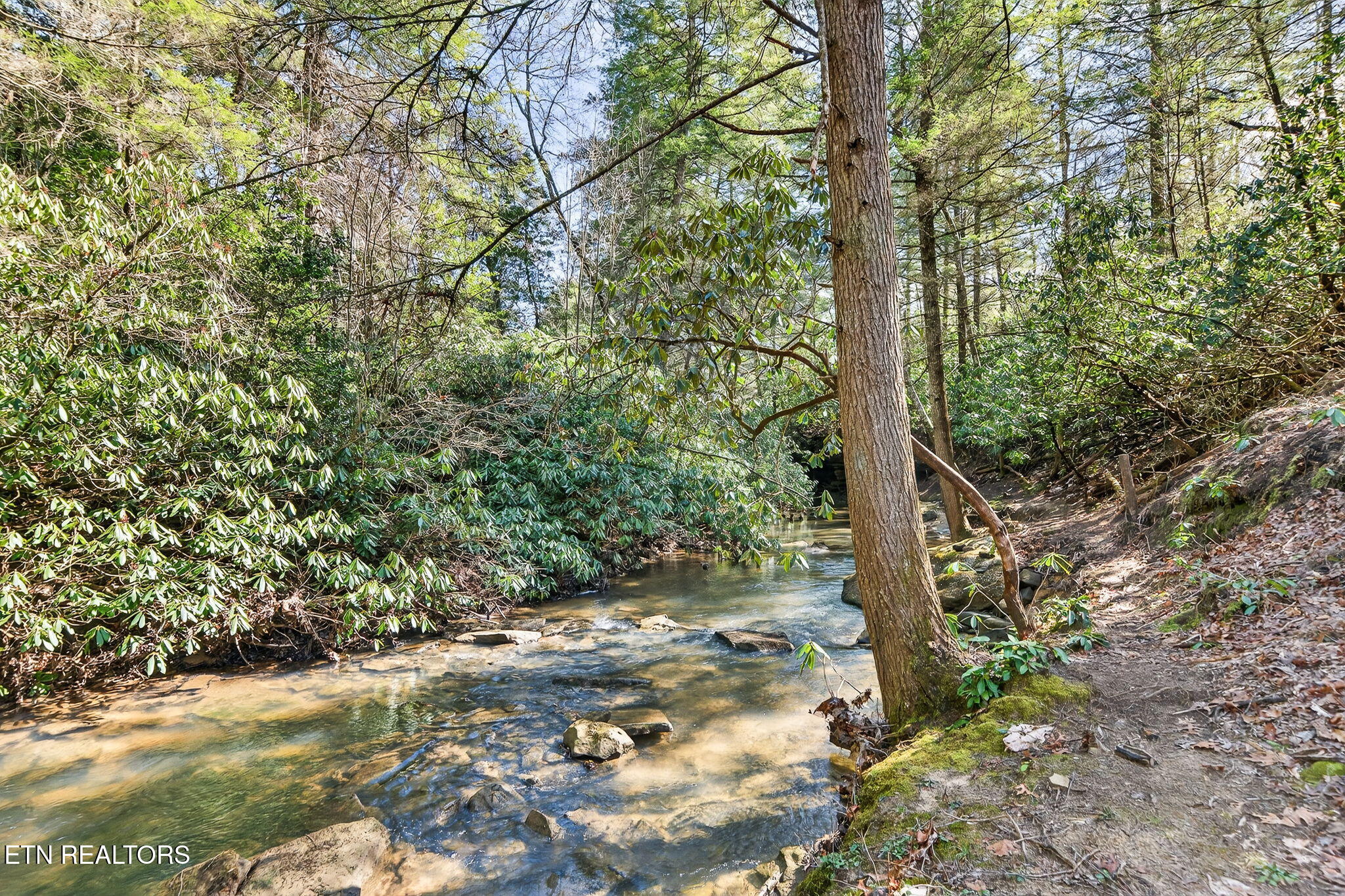 1335 Laurel Way Monterey TN 38574