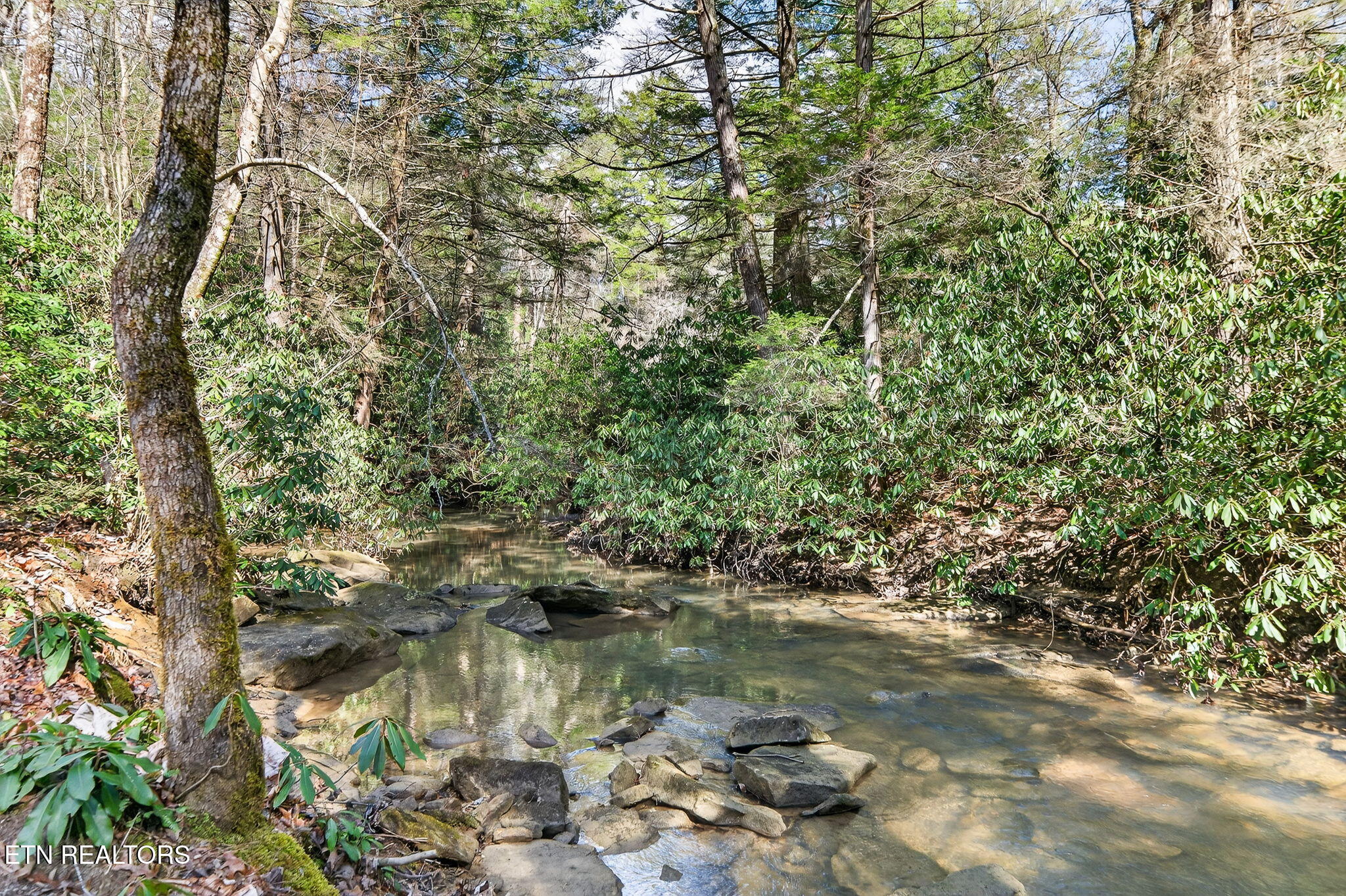 1335 Laurel Way Monterey TN 38574