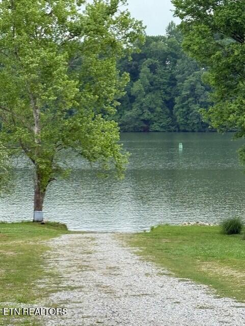 207 Shady Shore Lane Kingston TN 37763