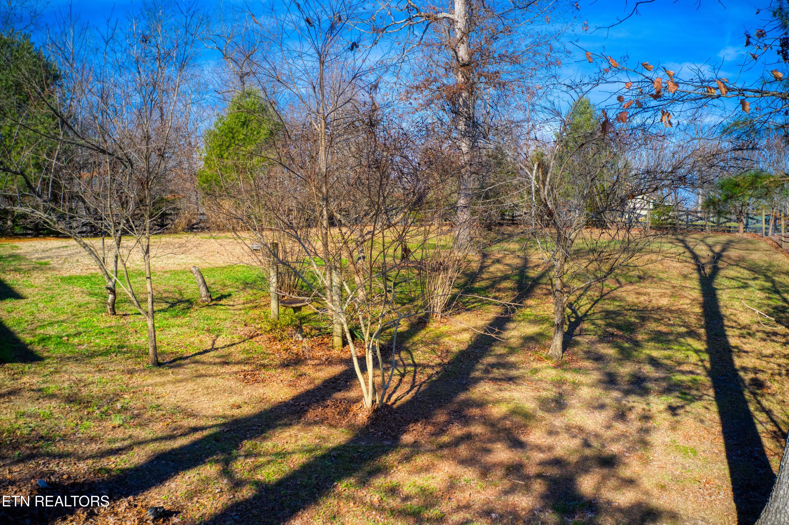 250 Briar Point Road Allardt TN 38504