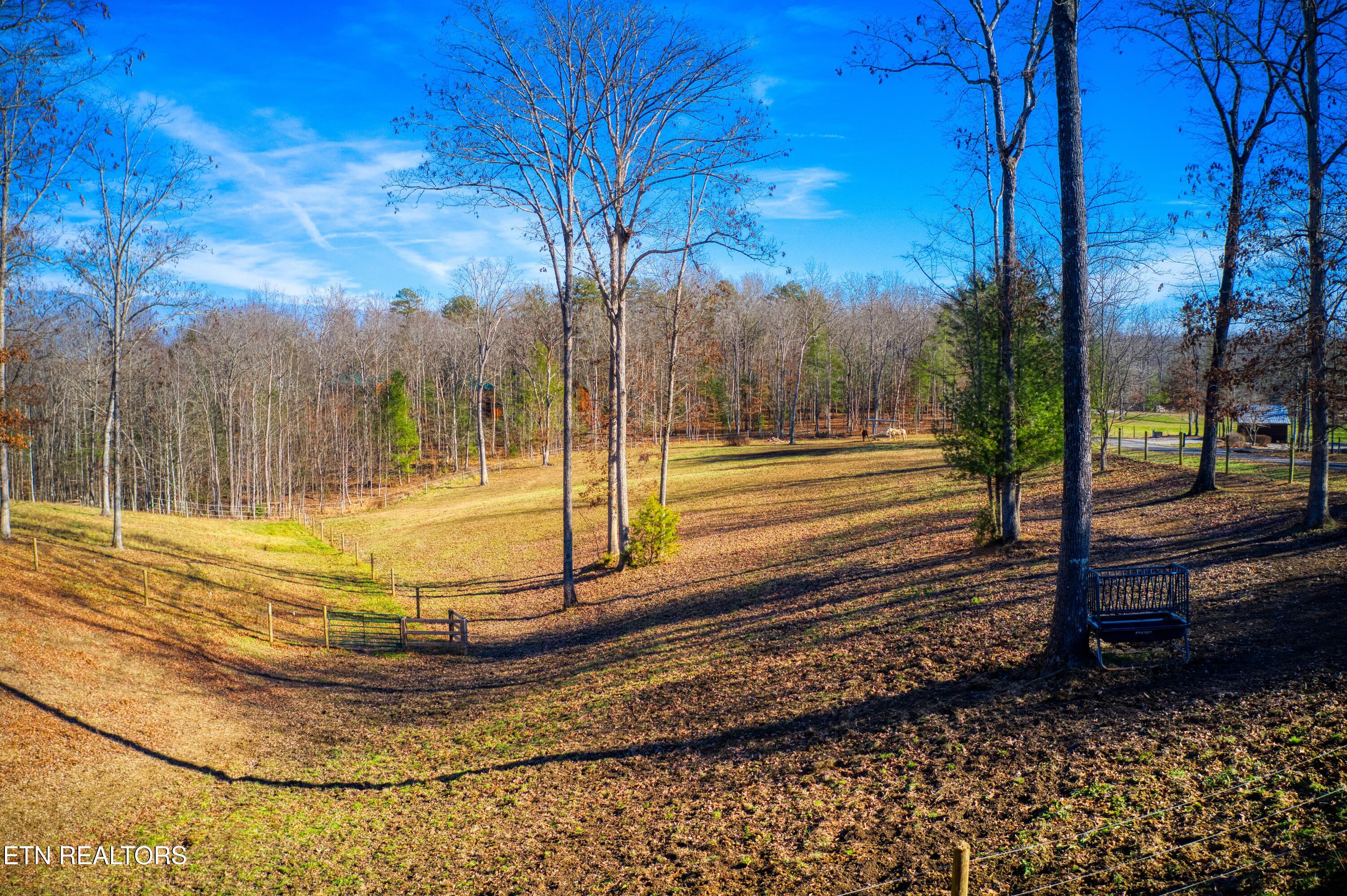 250 Briar Point Road Allardt TN 38504