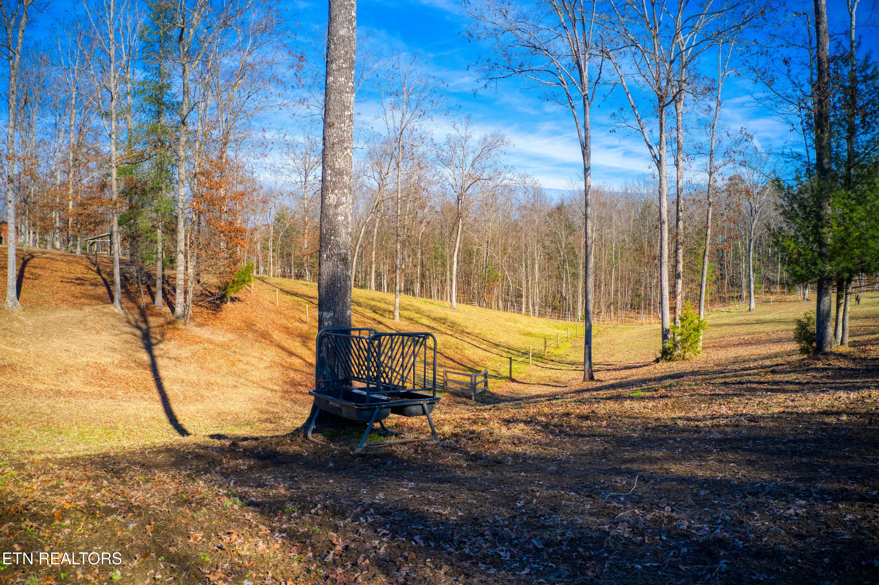 250 Briar Point Road Allardt TN 38504