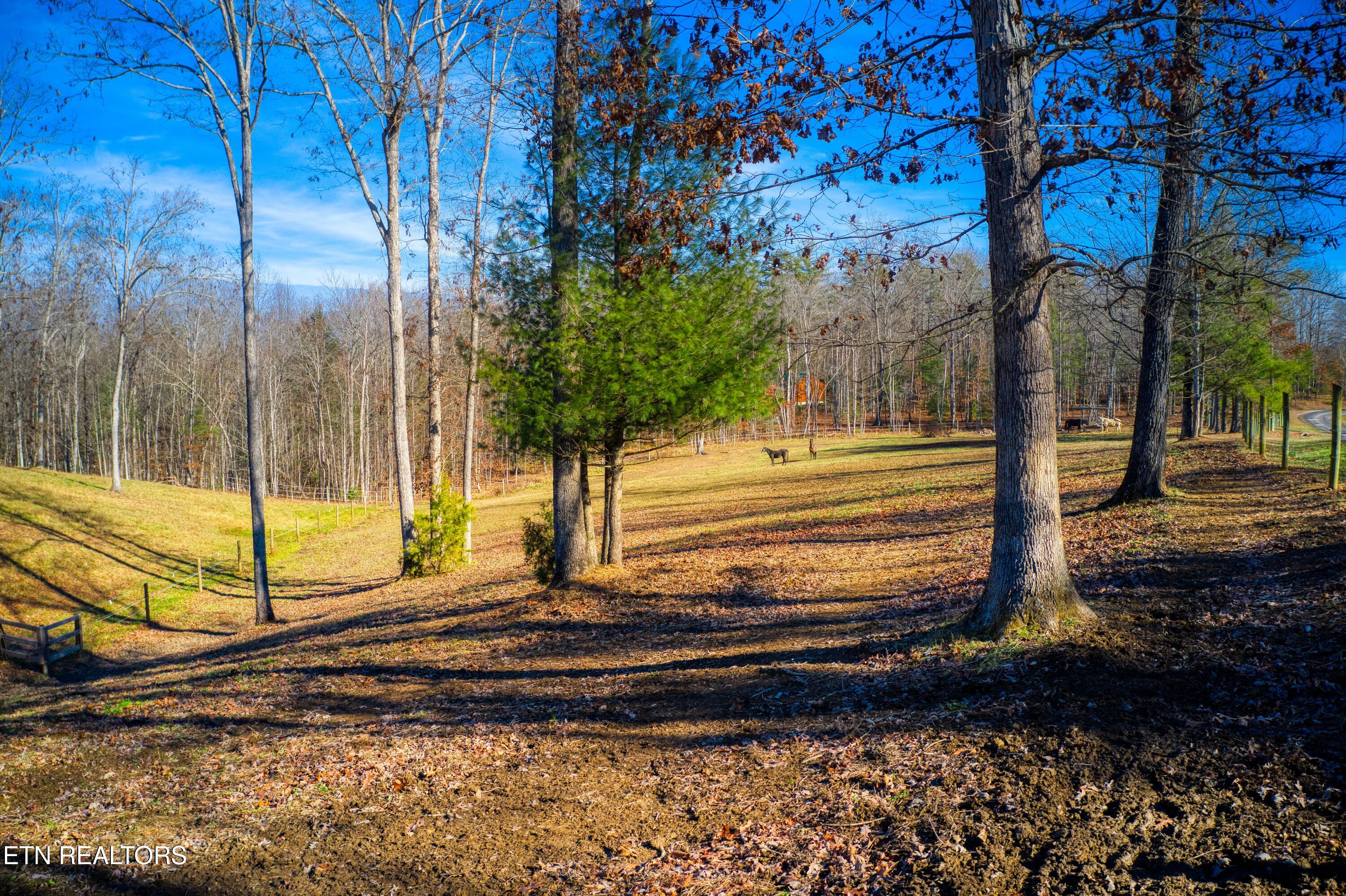 250 Briar Point Road Allardt TN 38504