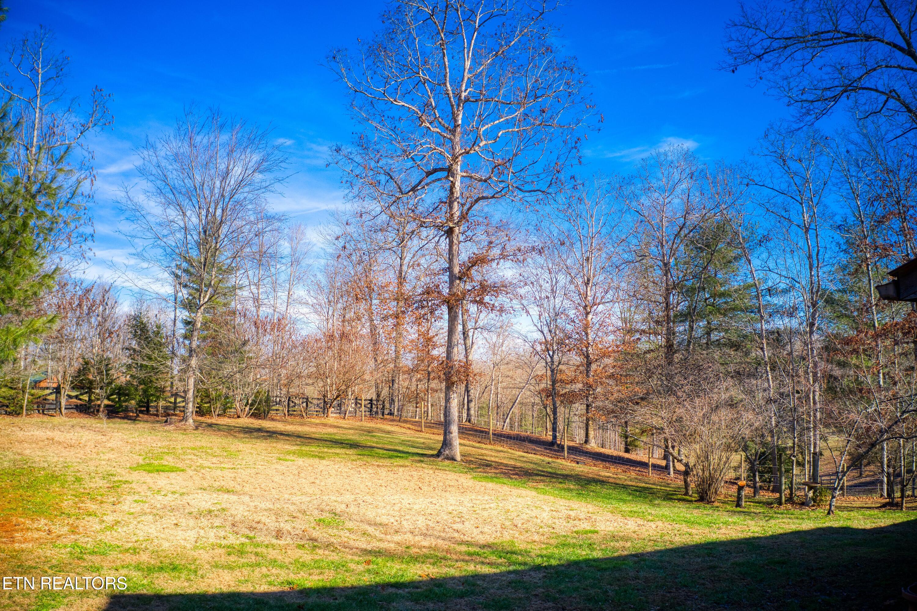 250 Briar Point Road Allardt TN 38504