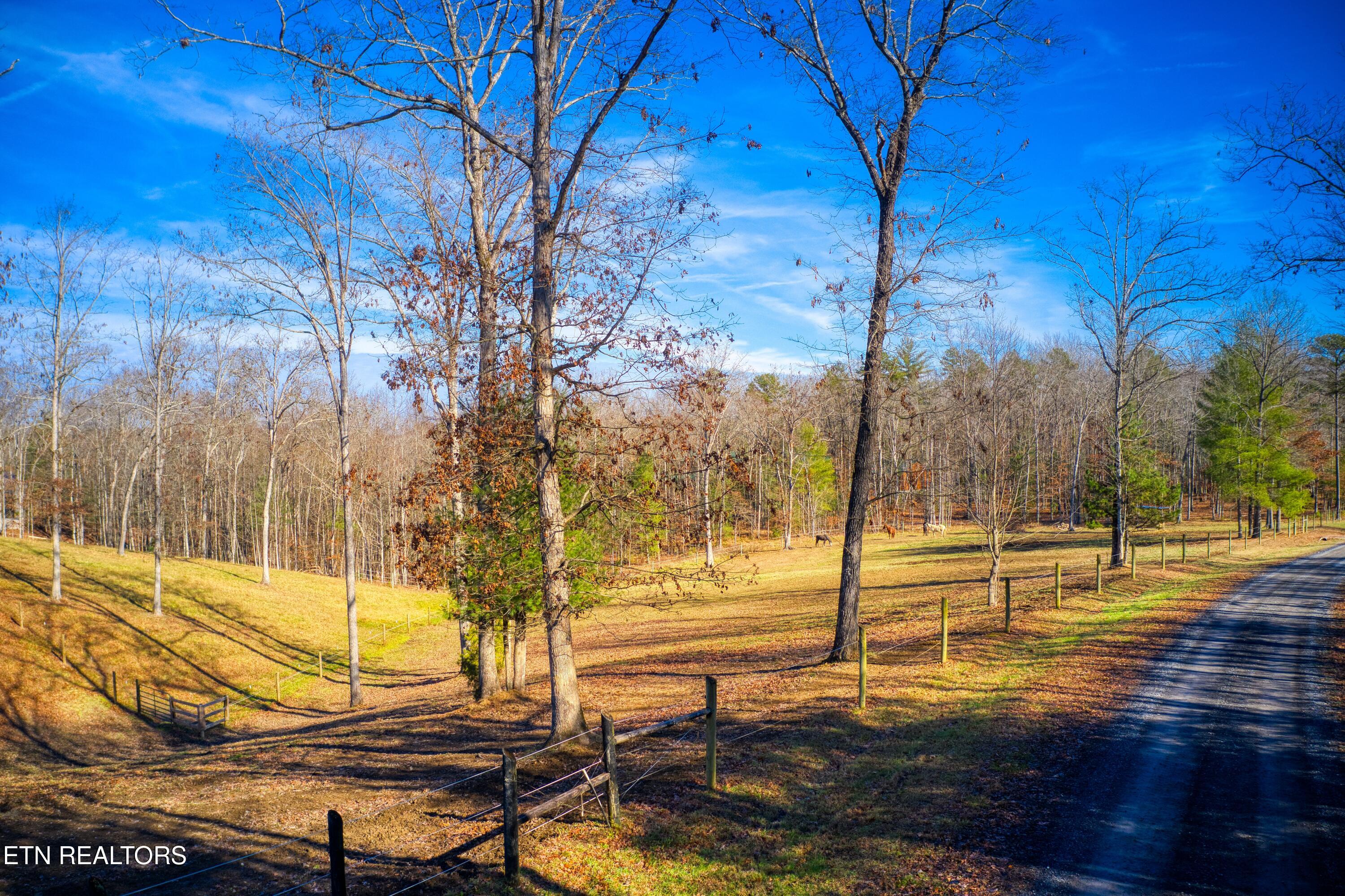 250 Briar Point Road Allardt TN 38504