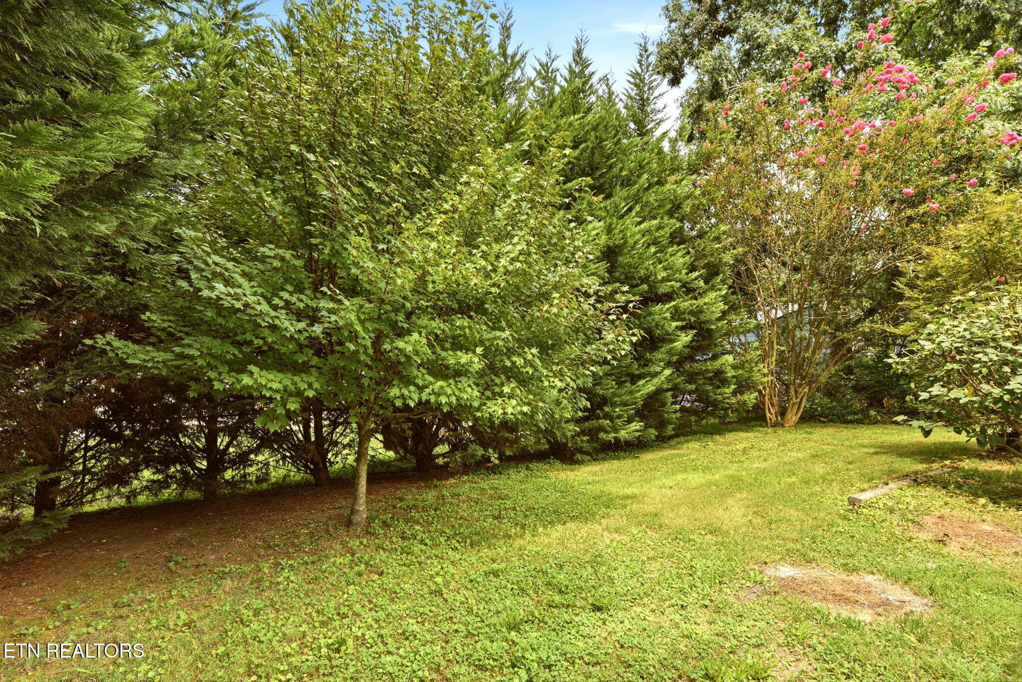 1409 Waynesboro Lane Knoxville TN 37923