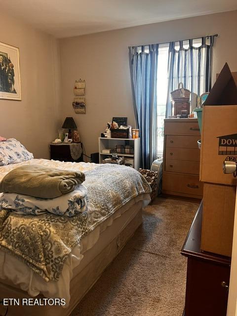 164 Sandy Circle Lafollette TN 37766
